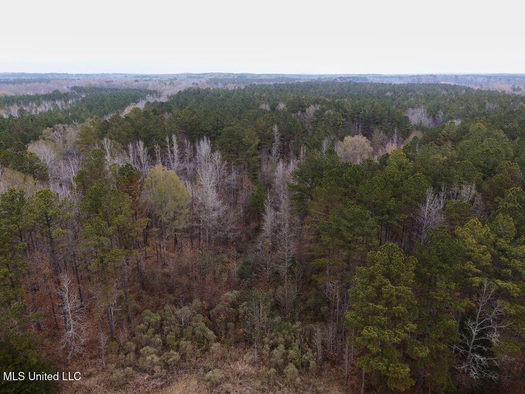 Bright Road Property Photo 9