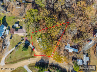352 Coles Point Road Property Photo 11