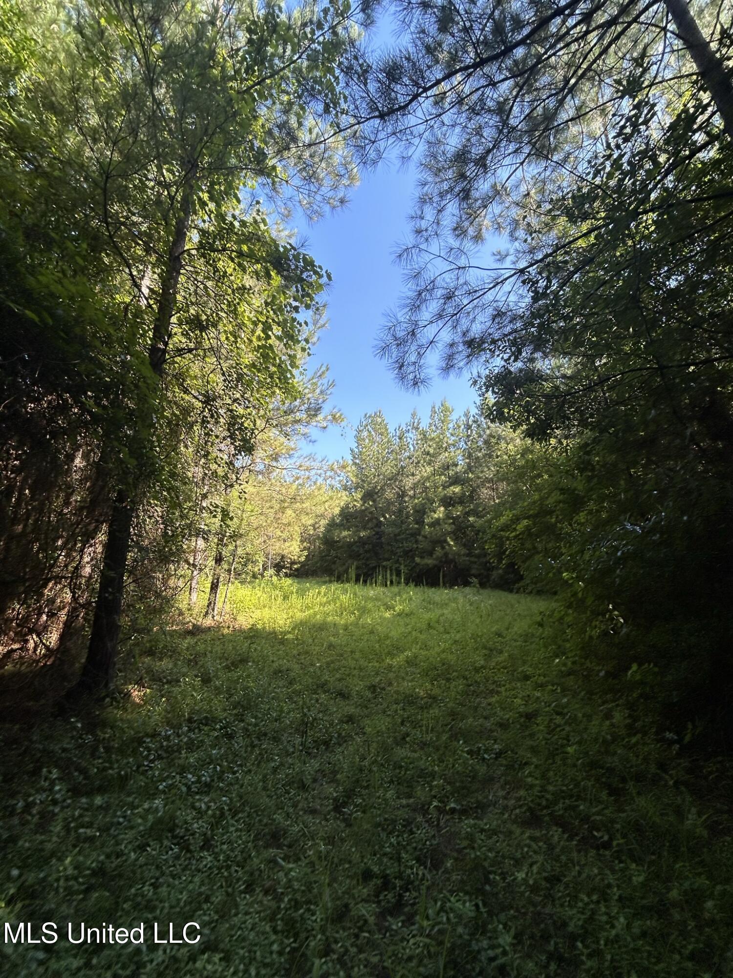 Se Mccullough Road Property Photo 6