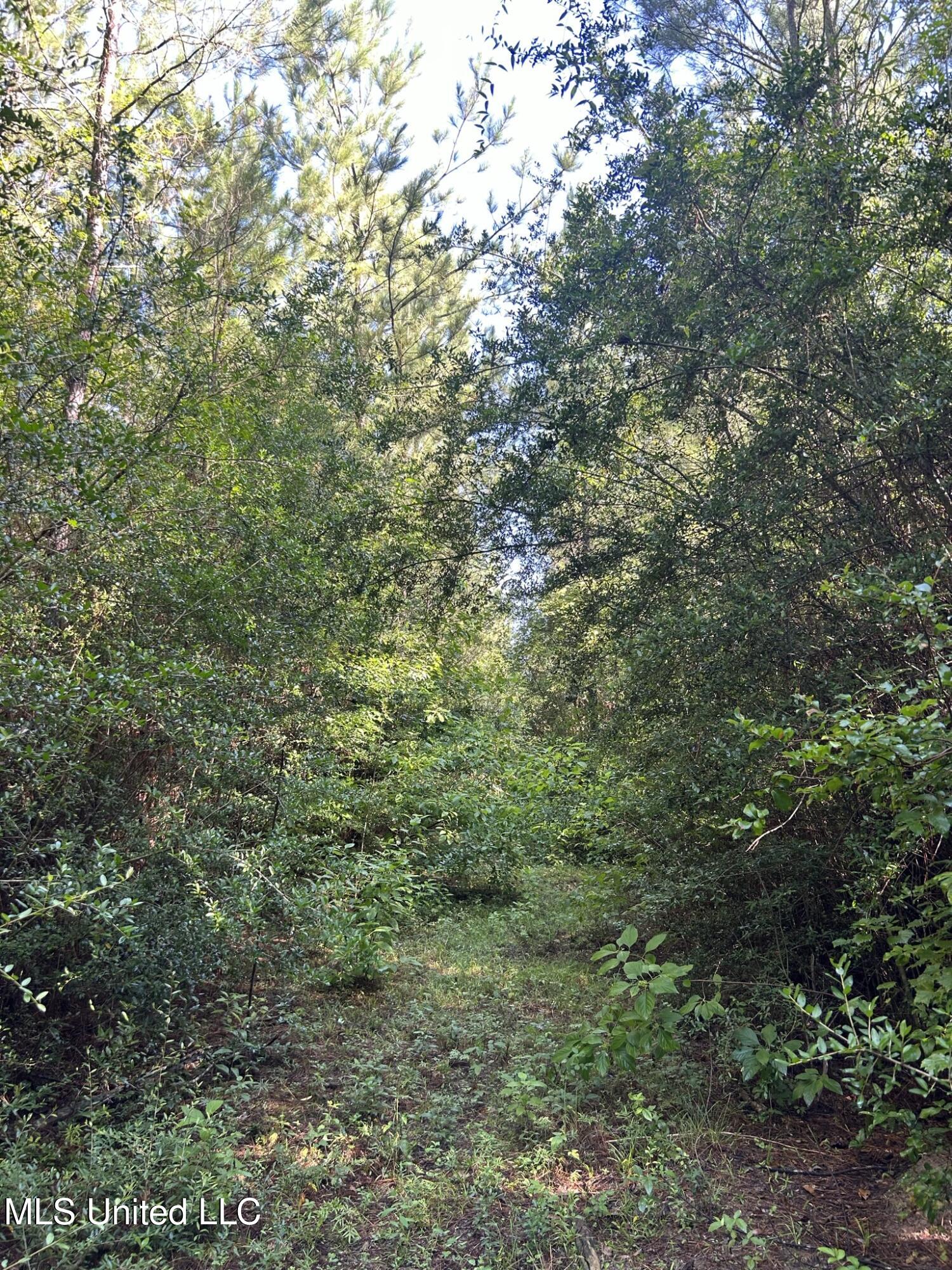 Se Mccullough Road Property Photo 8