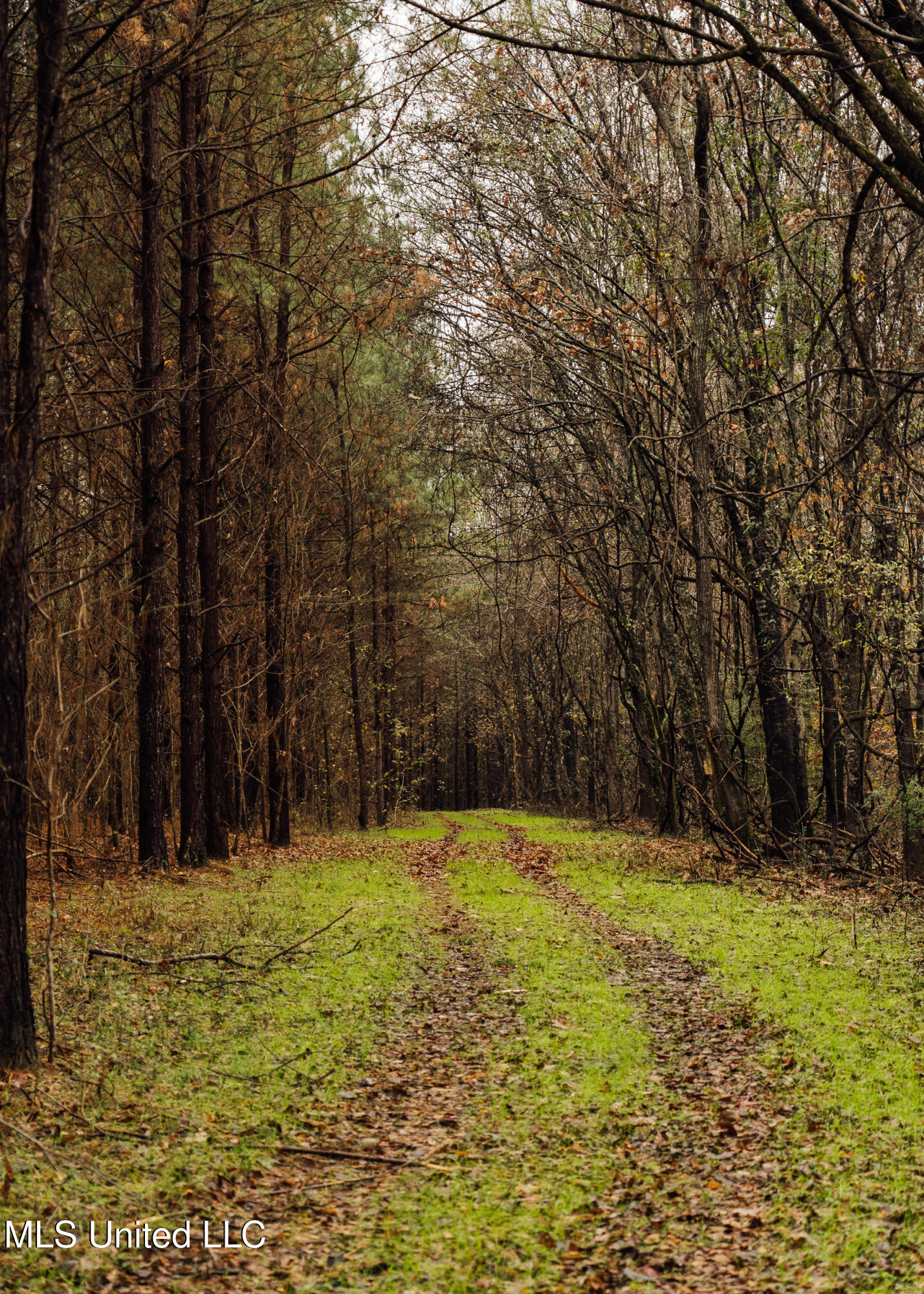 745 Black Jack Road Property Photo 1