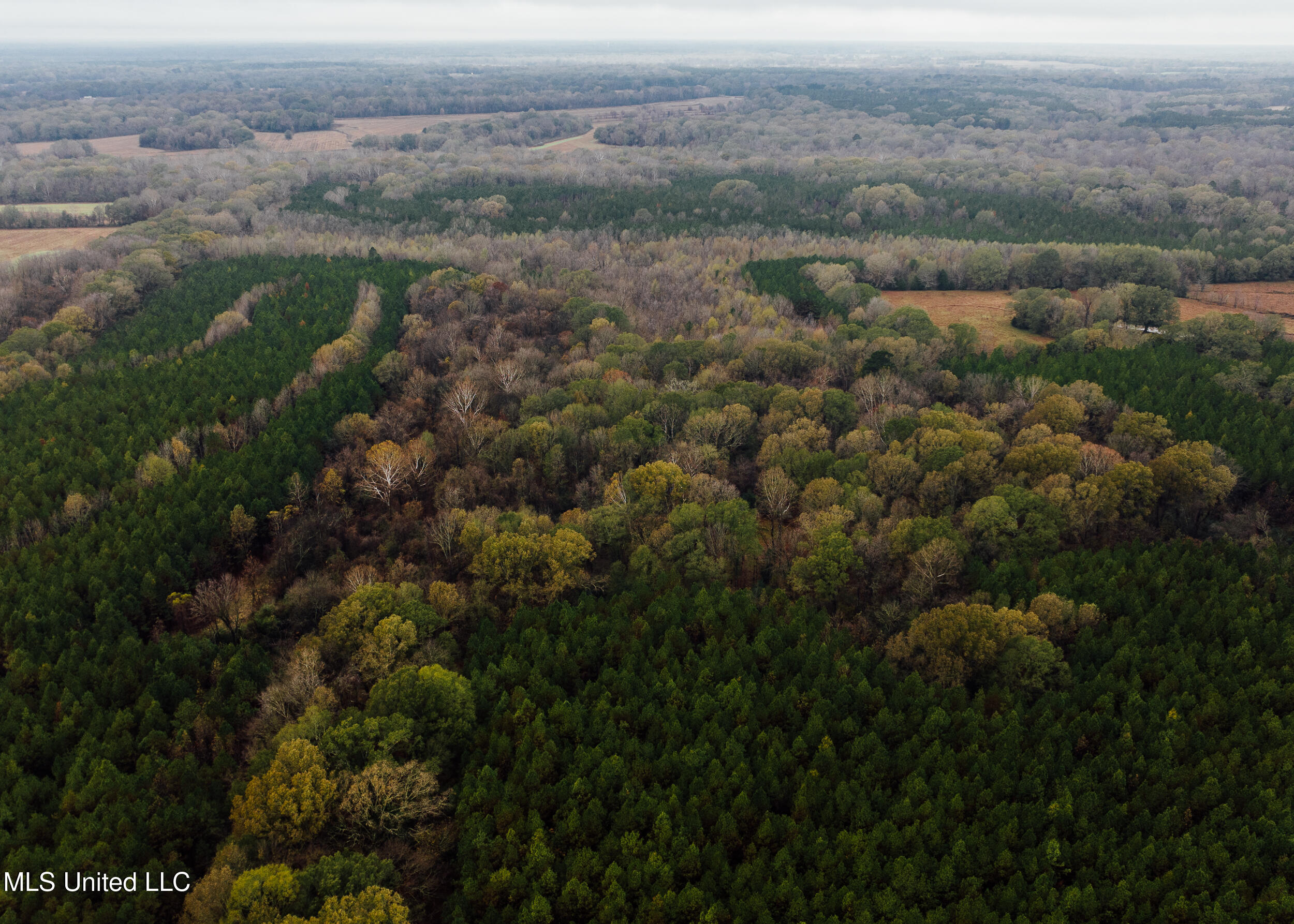 745 Black Jack Road Property Photo 3