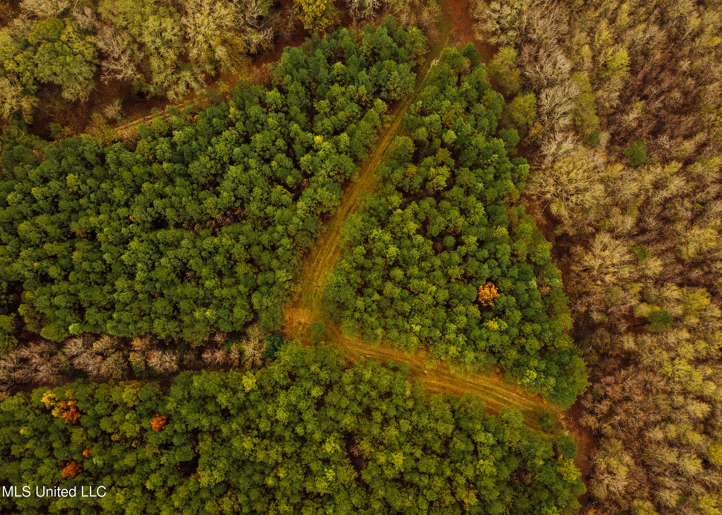 745 Black Jack Road Property Photo 14