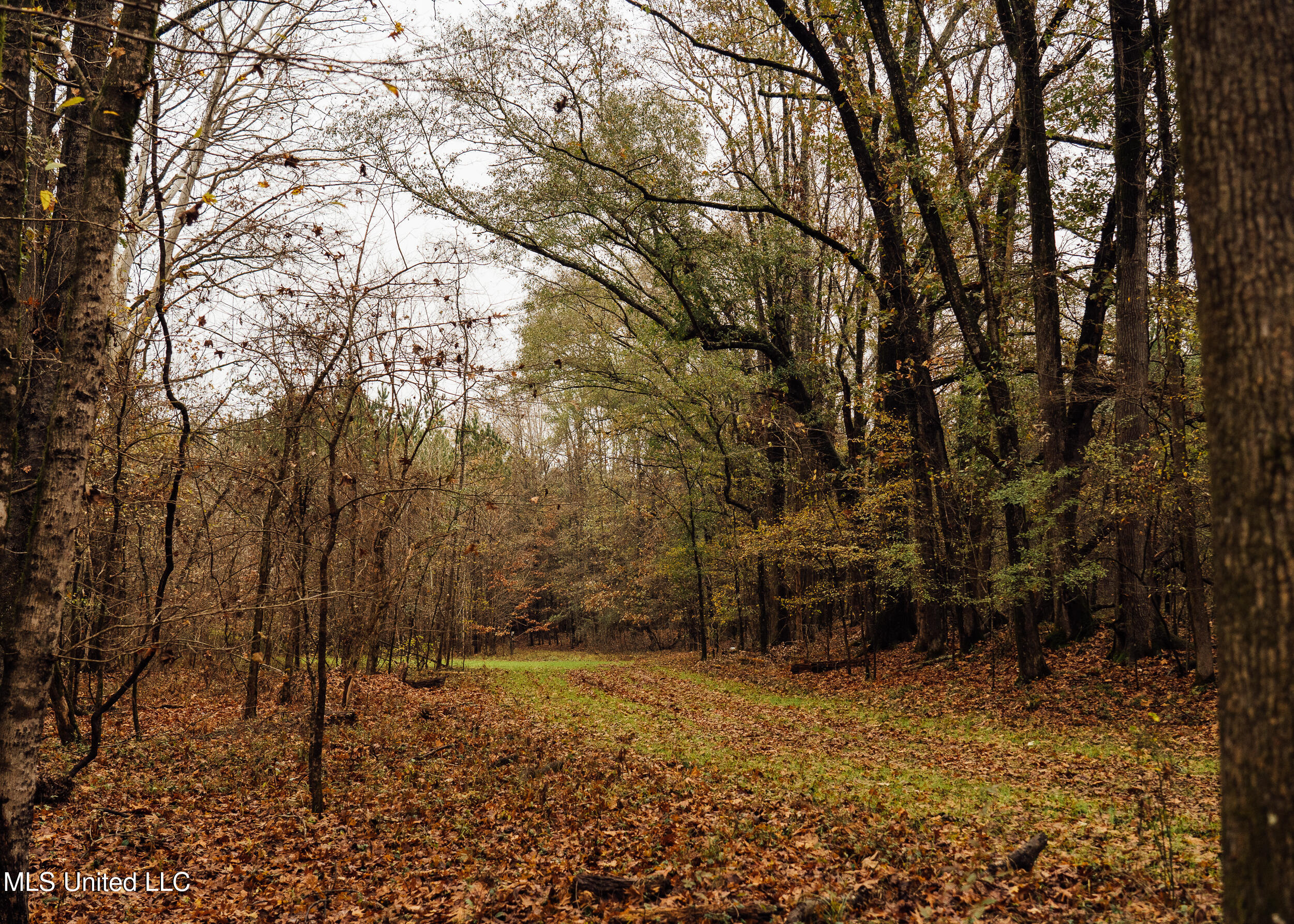 745 Black Jack Road Property Photo 15
