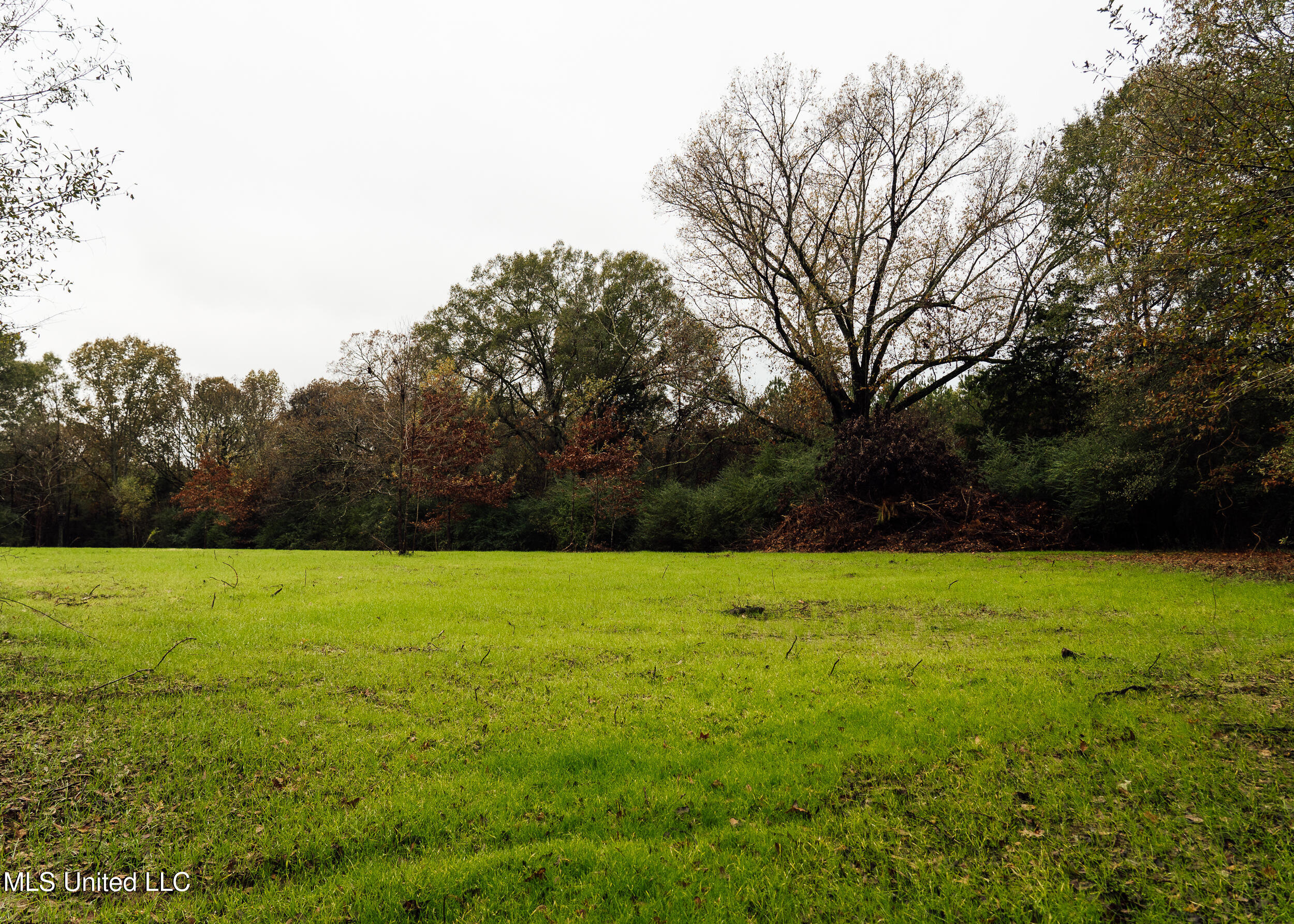 745 Black Jack Road Property Photo 16