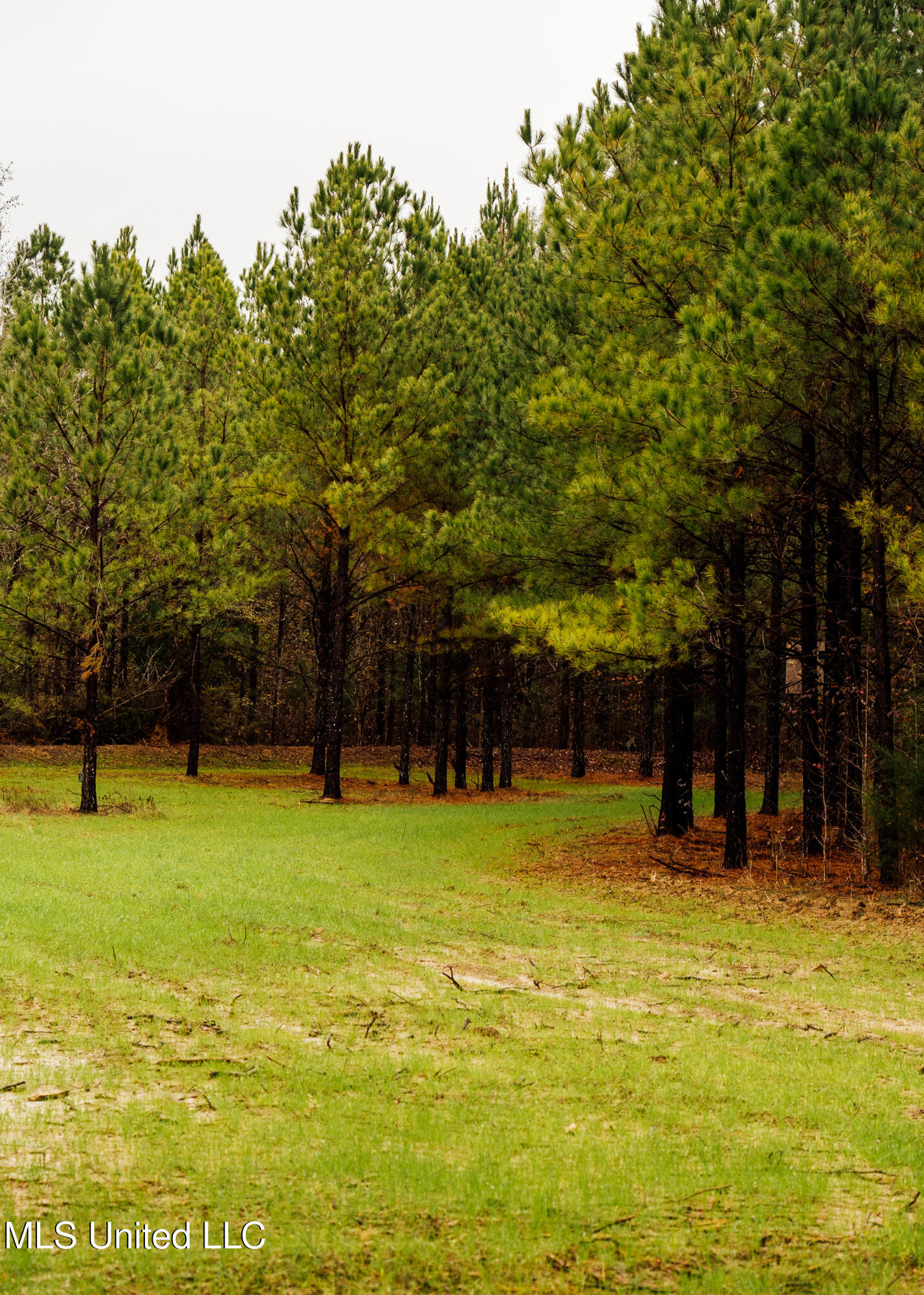 745 Black Jack Road Property Photo 23