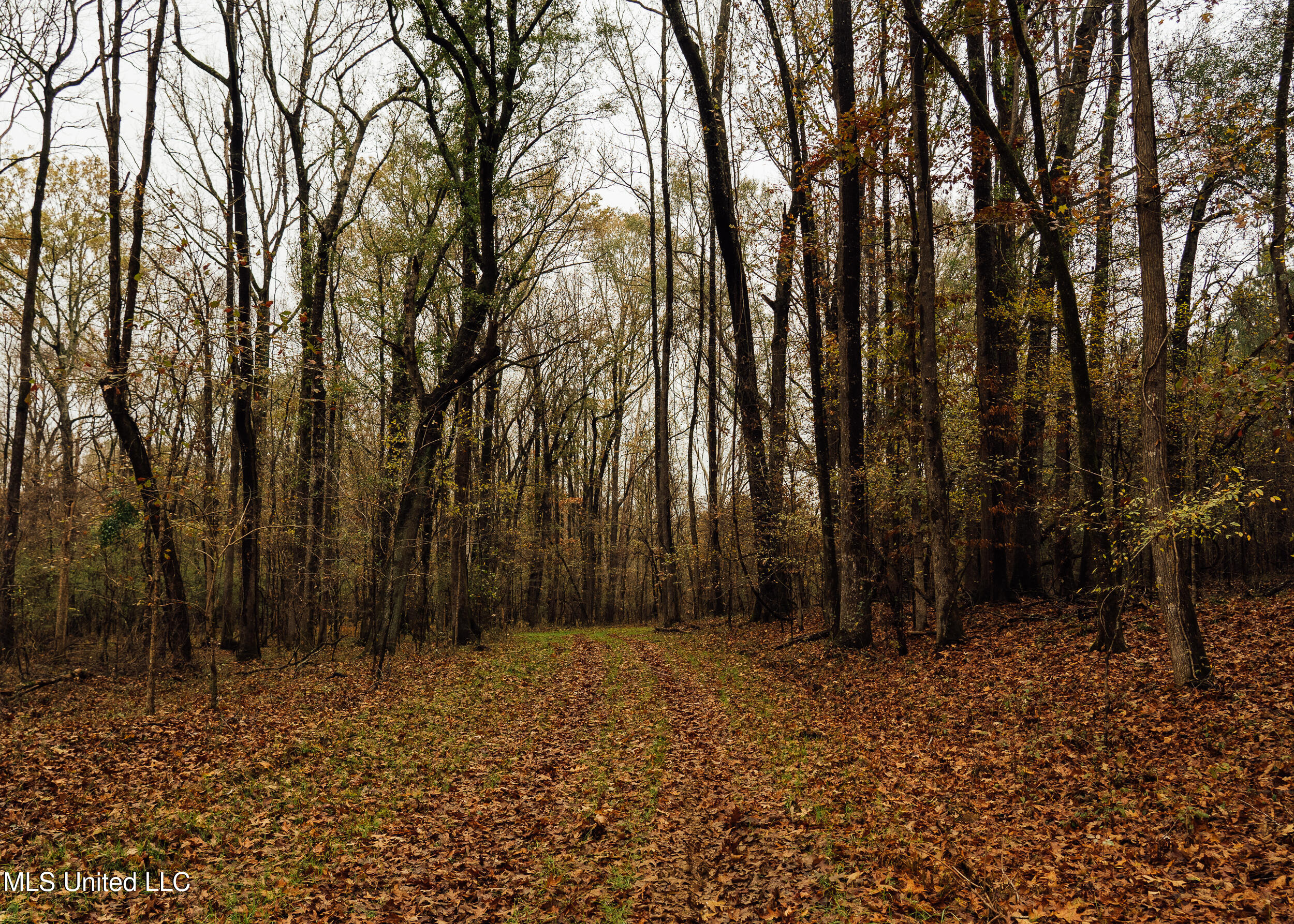 745 Black Jack Road Property Photo 25
