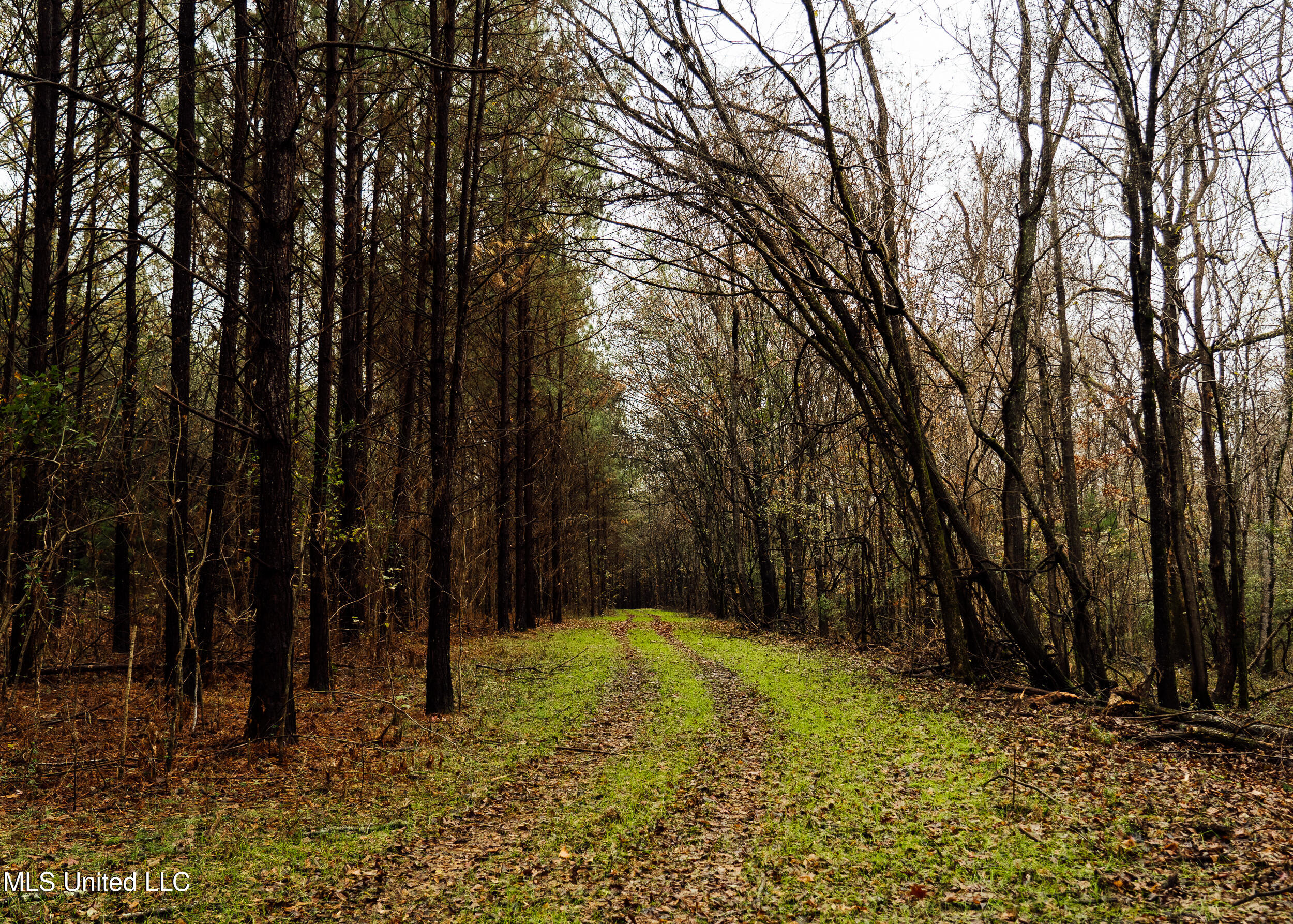745 Black Jack Road Property Photo 27