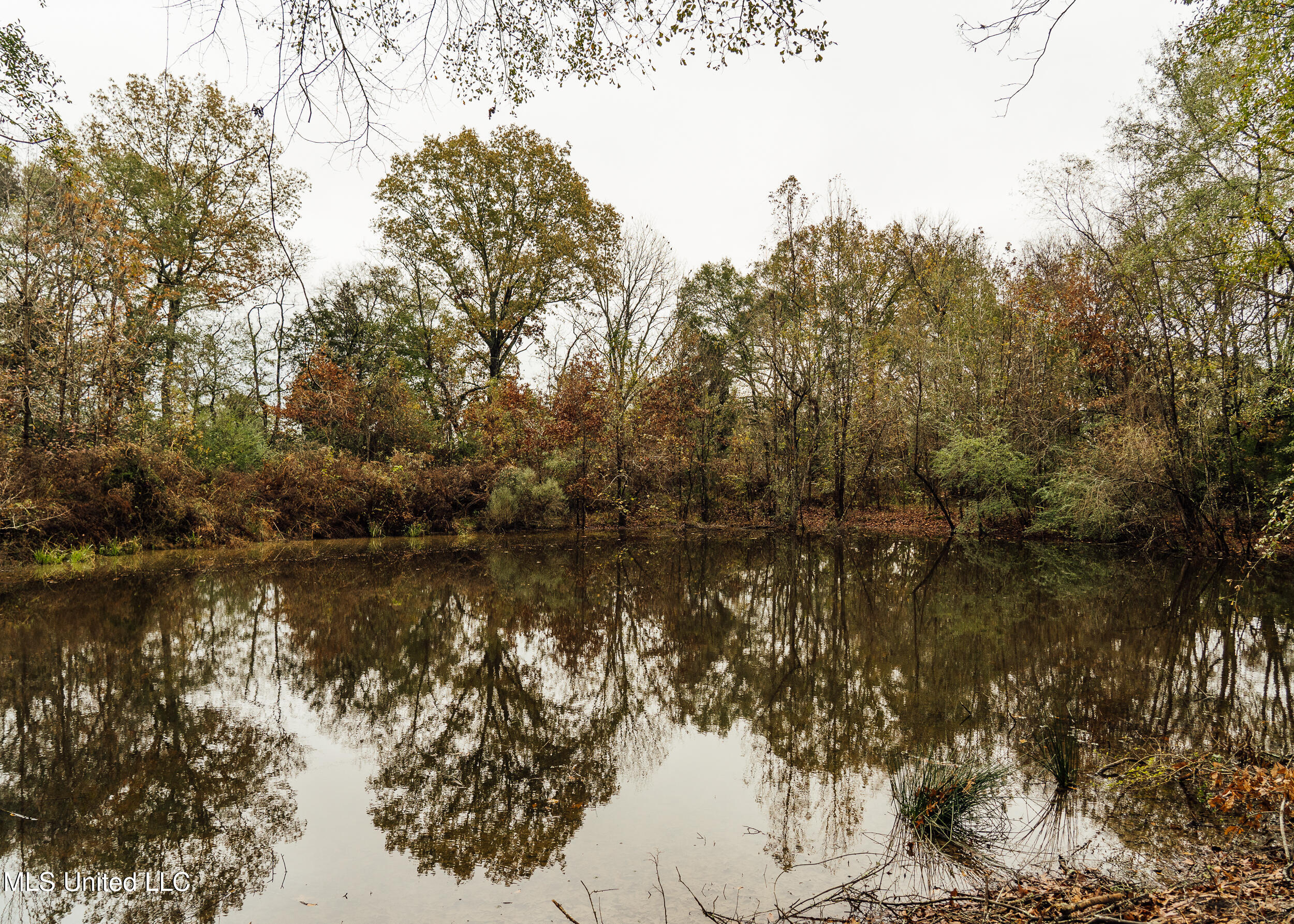 745 Black Jack Road Property Photo 29