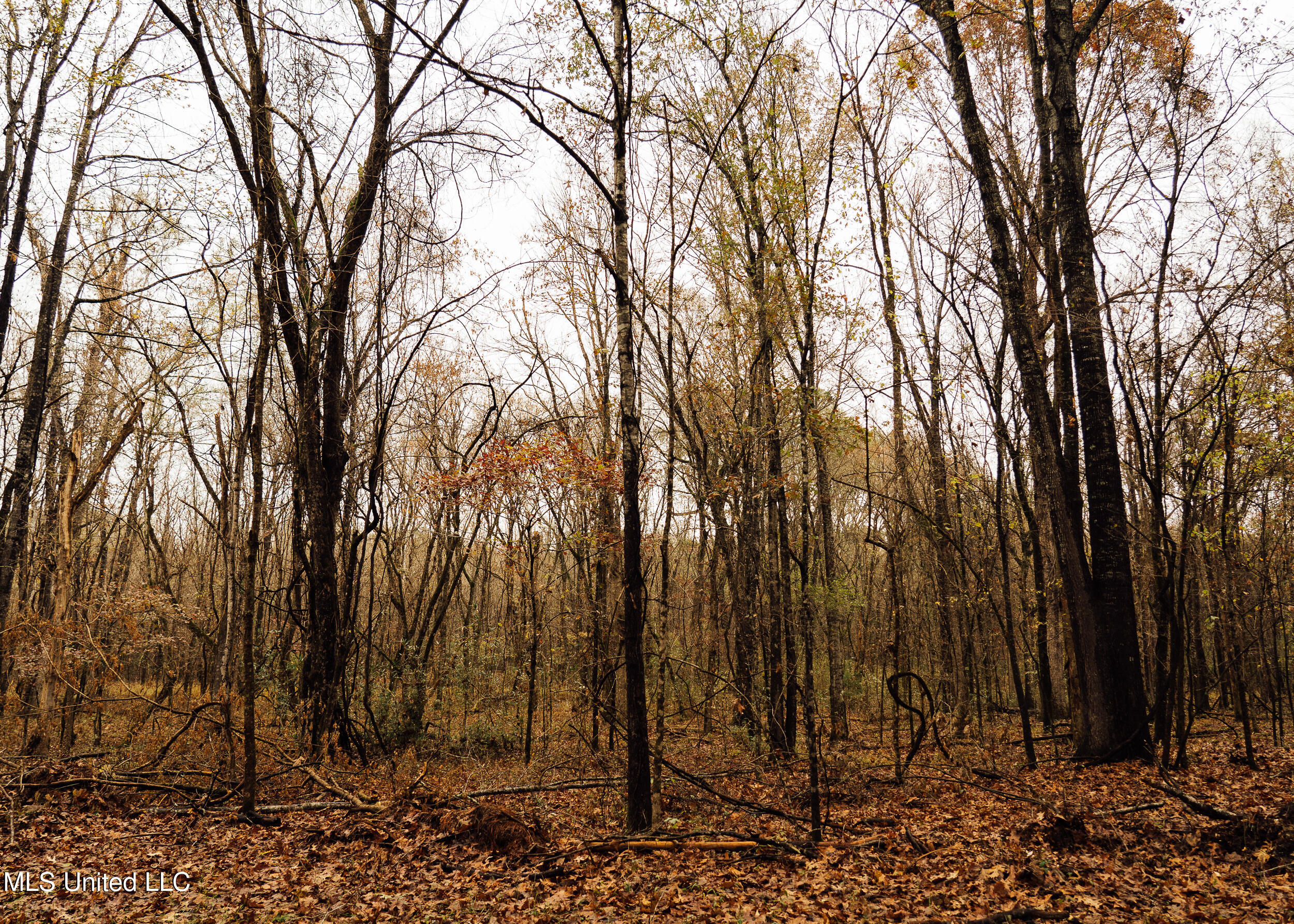 745 Black Jack Road Property Photo 31