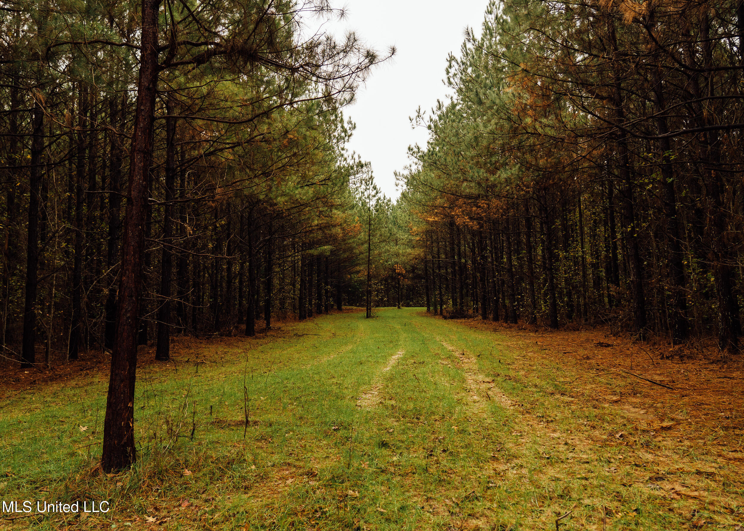 745 Black Jack Road Property Photo 32
