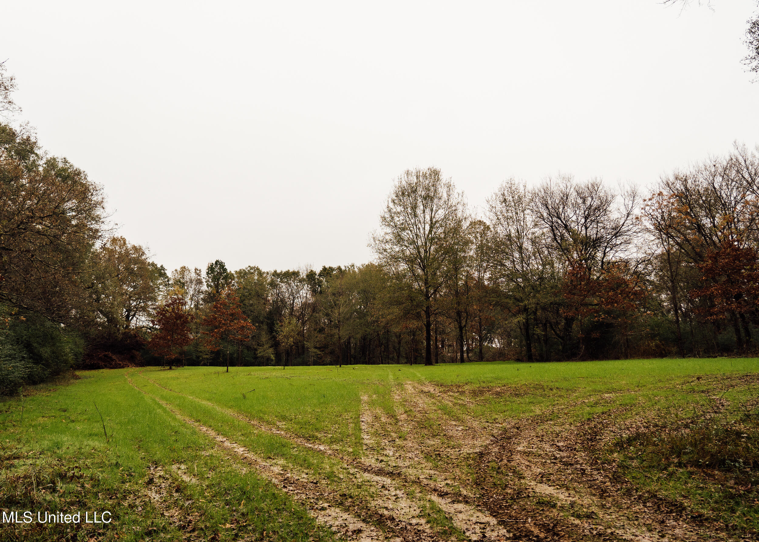 745 Black Jack Road Property Photo 34