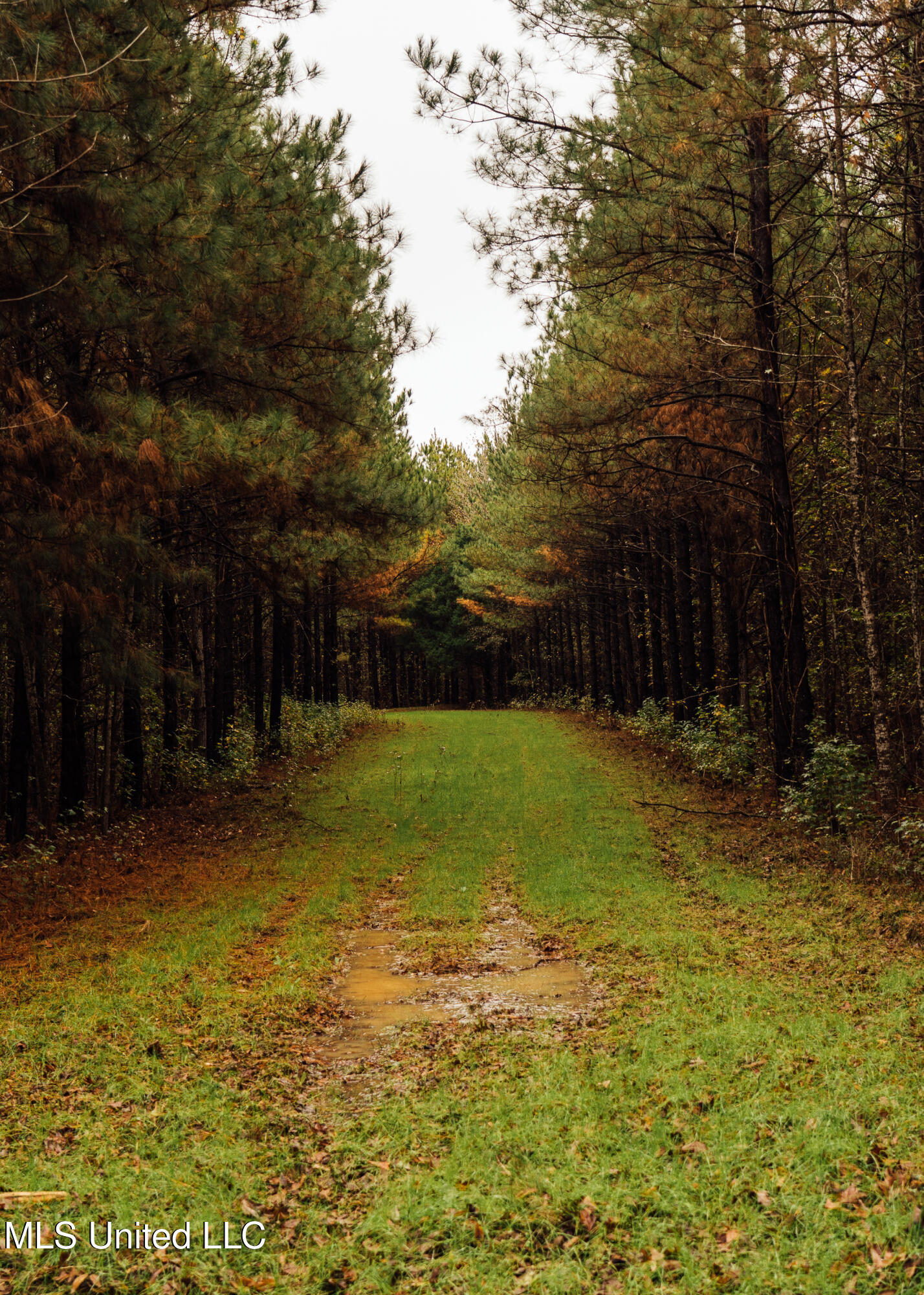 745 Black Jack Road Property Photo 35
