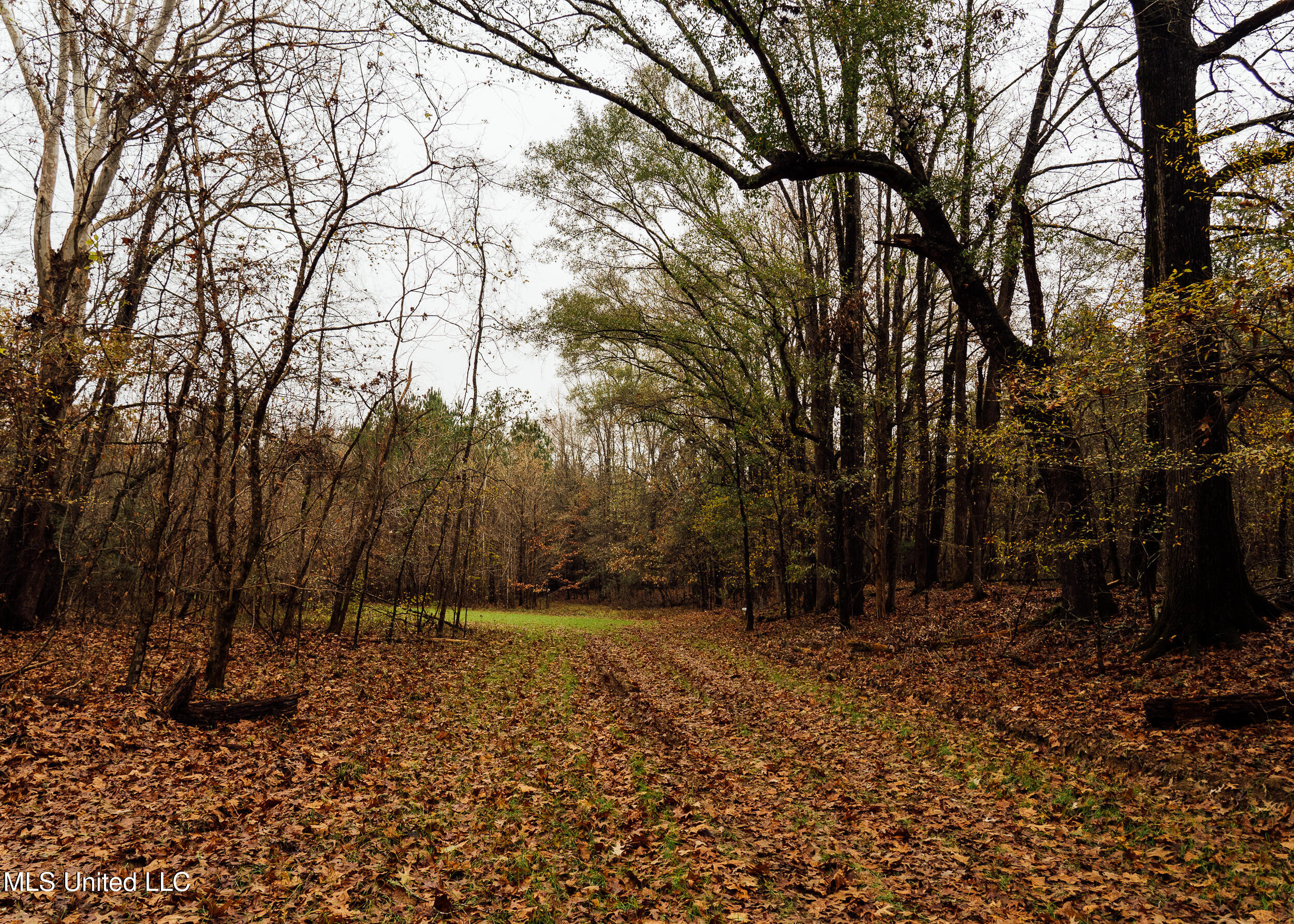 745 Black Jack Road Property Photo 38