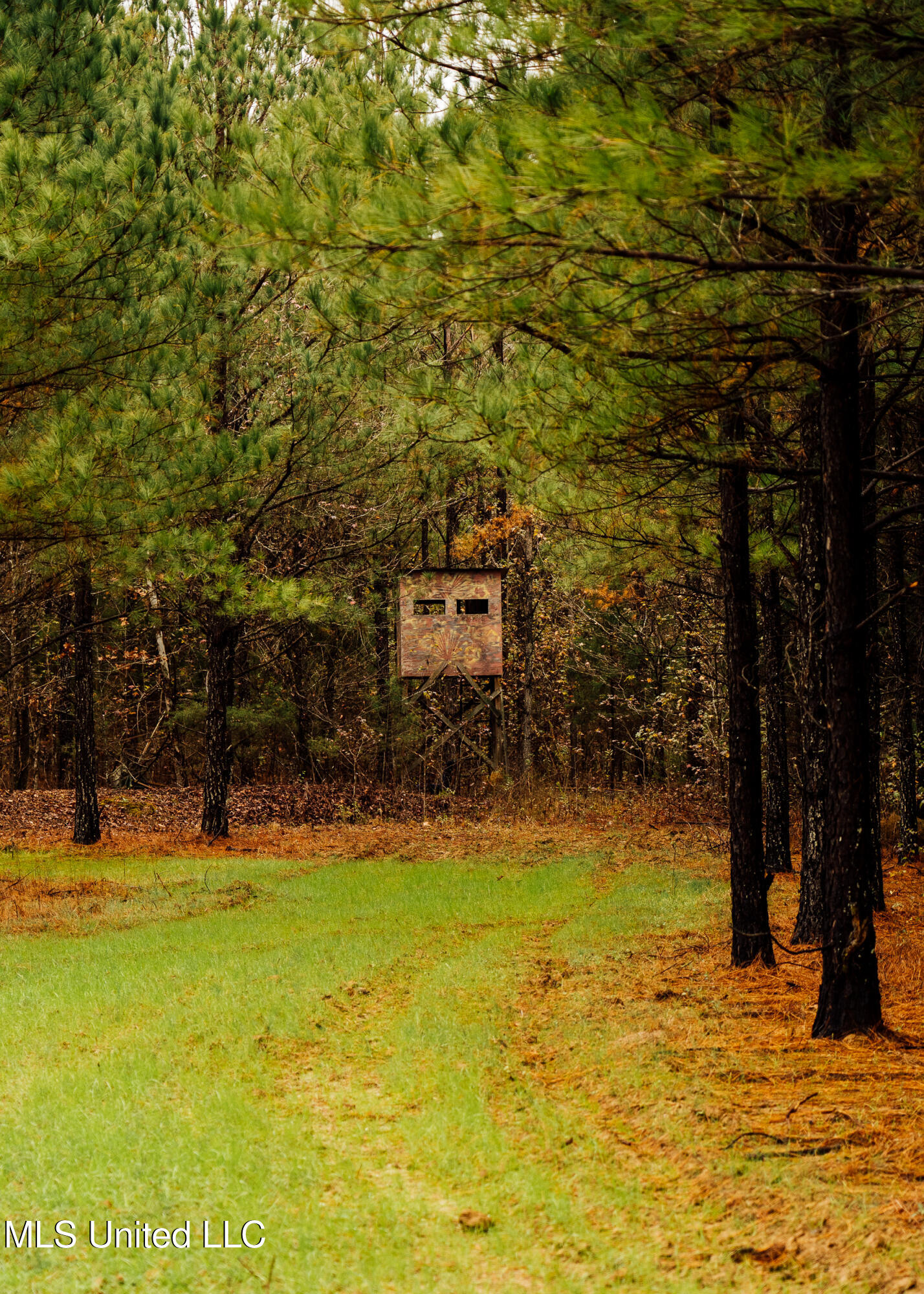 745 Black Jack Road Property Photo 41