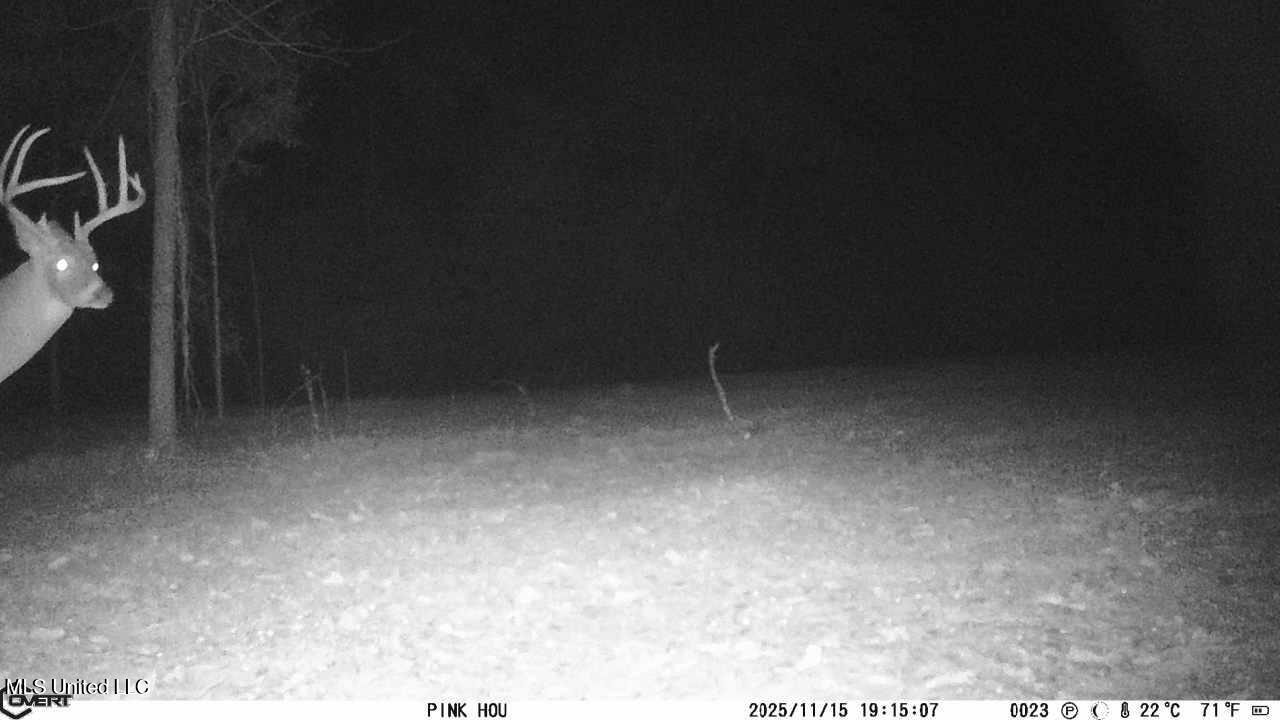 745 Black Jack Road Property Photo 43