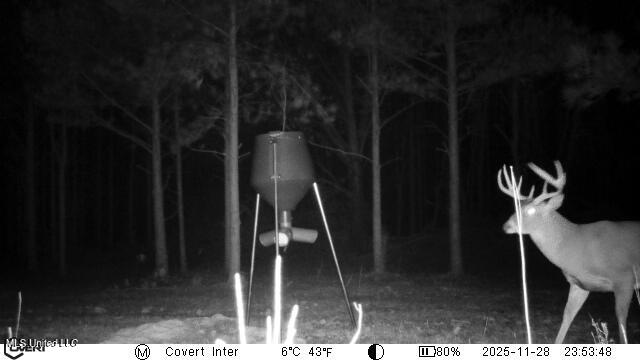 745 Black Jack Road Property Photo 45