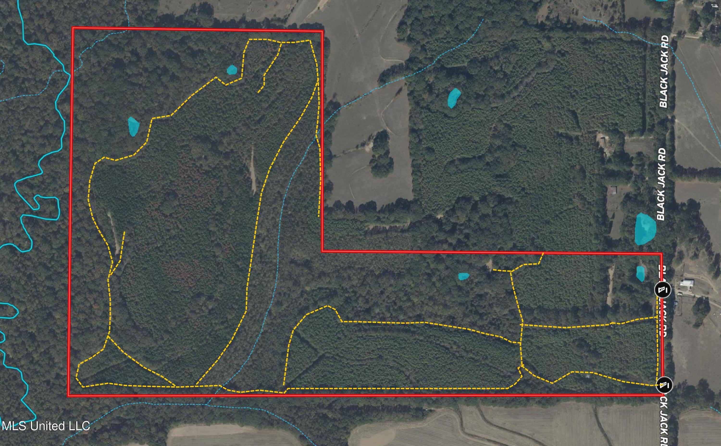 745 Black Jack Road Property Photo 47