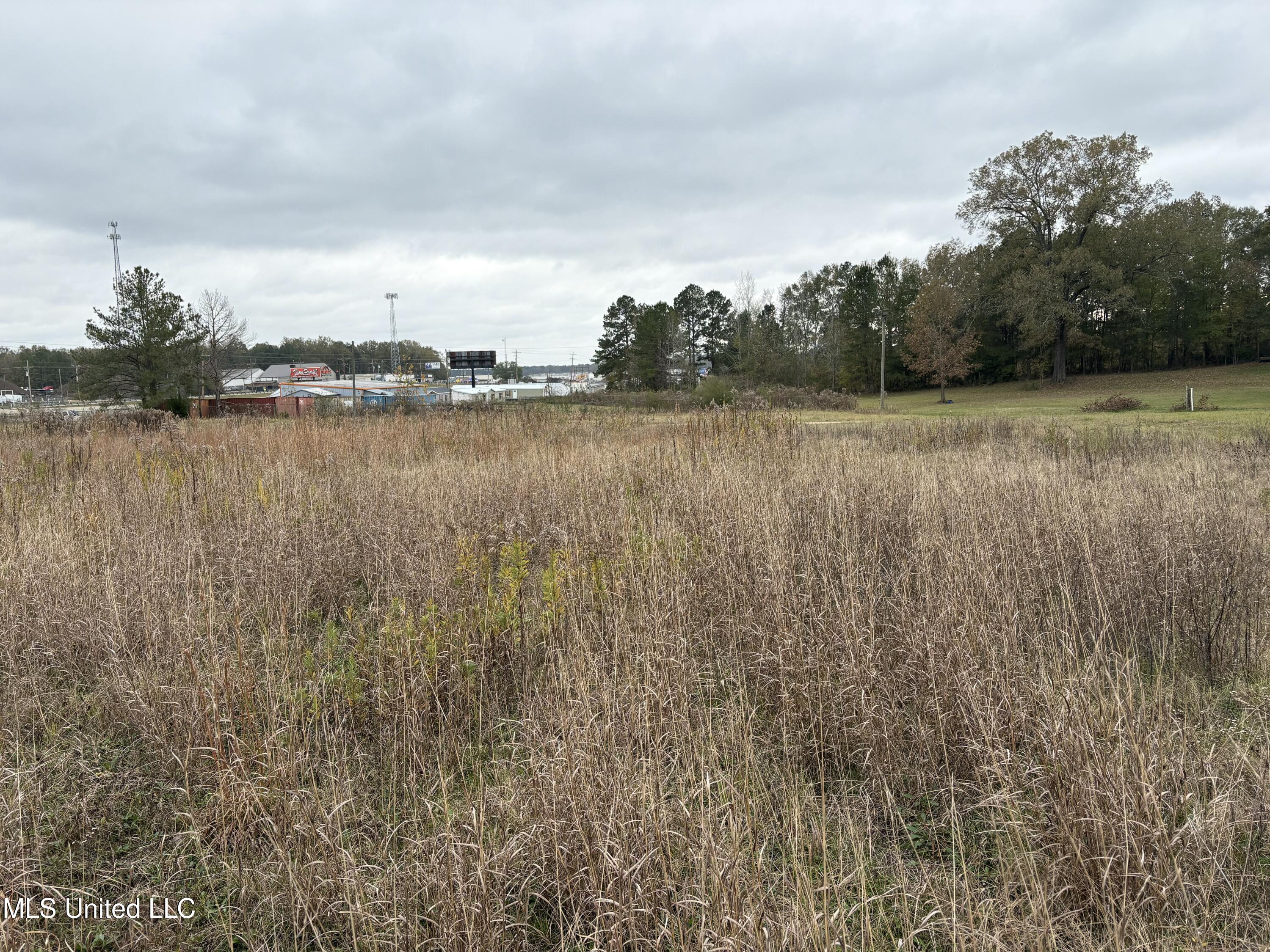 Interstate 55 Property Photo 5
