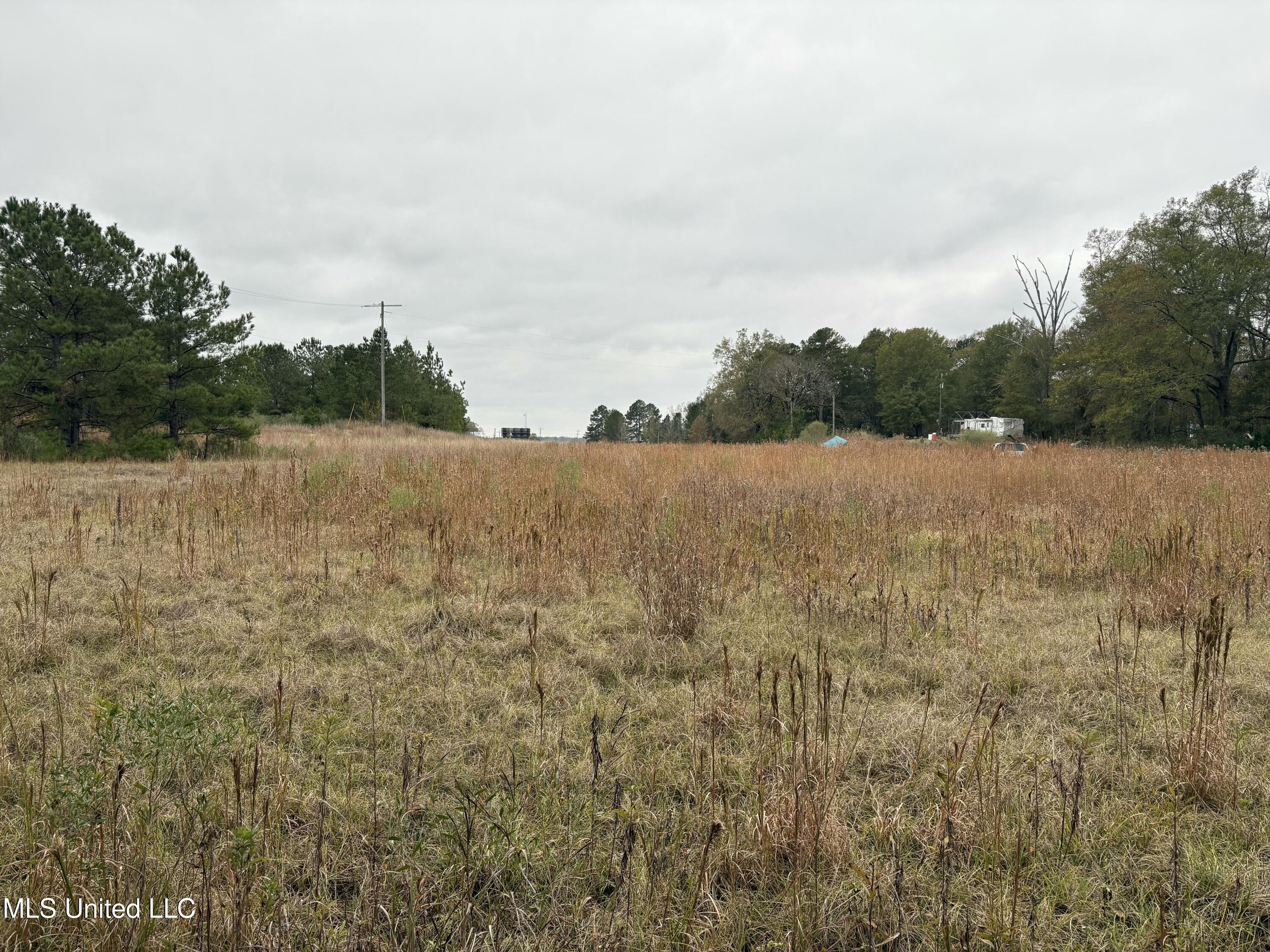 Interstate 55 Property Photo 6