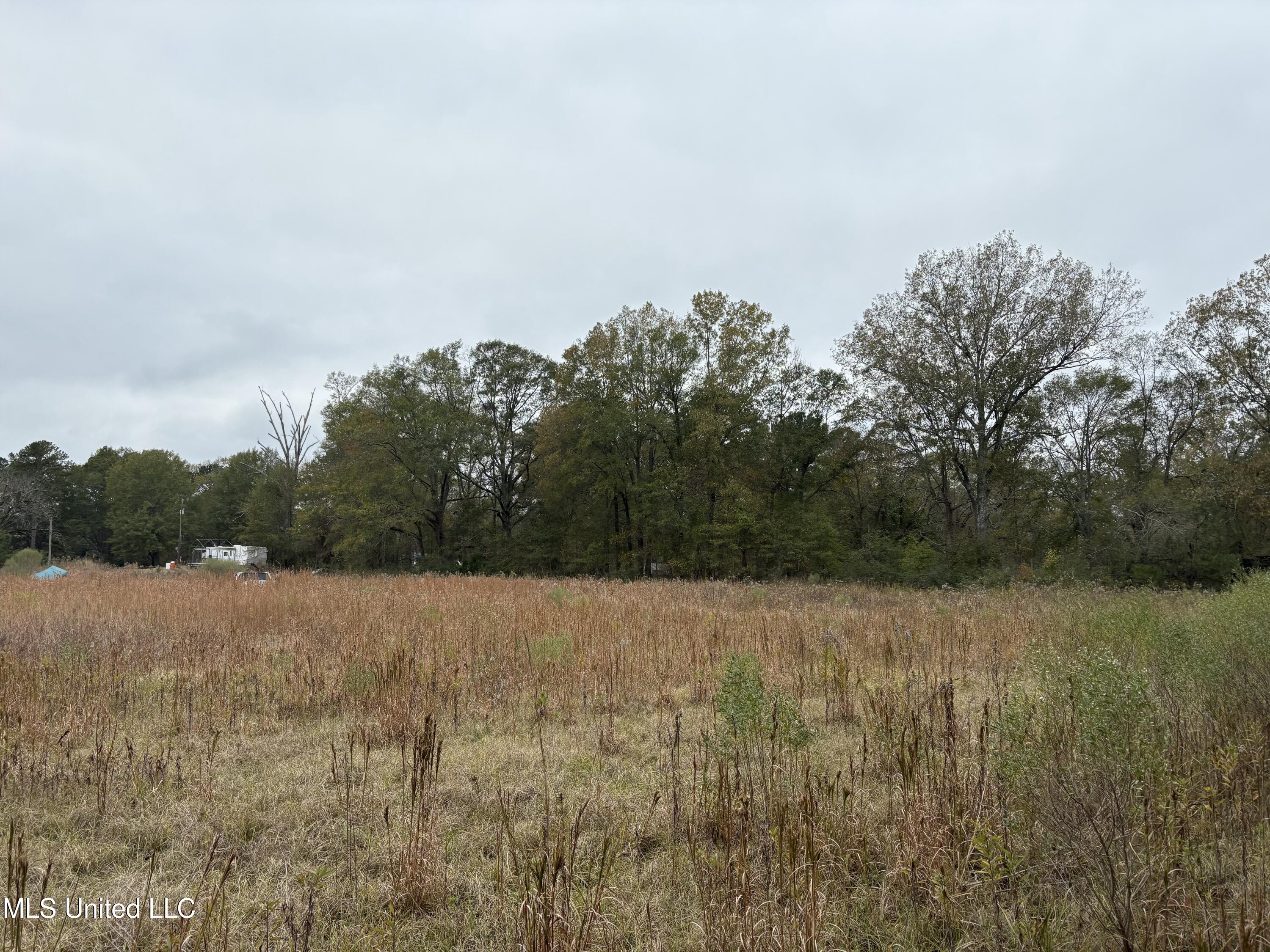 Interstate 55 Property Photo 7