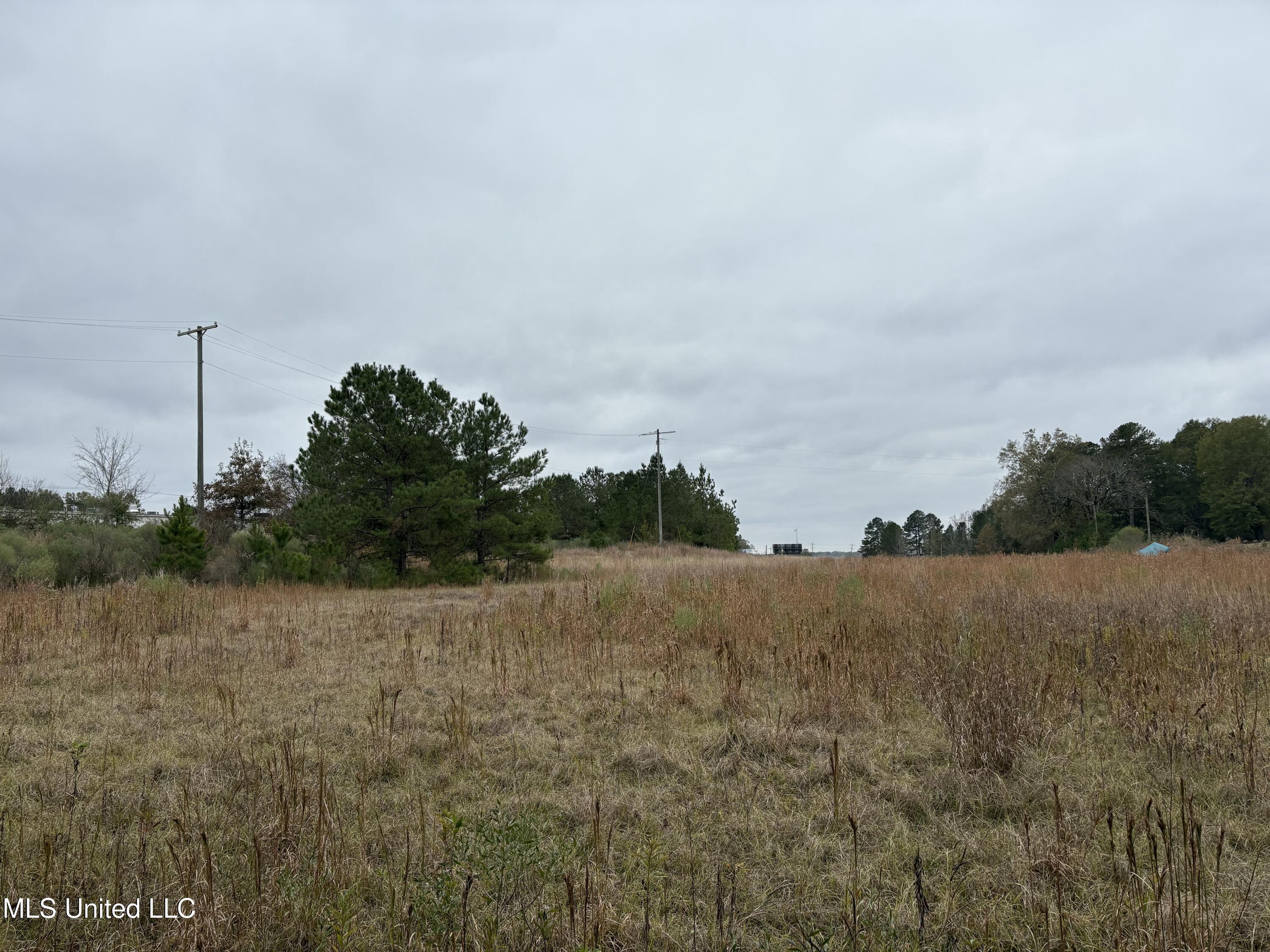 Interstate 55 Property Photo 8