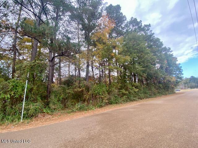 0 Llewellyn Ave Avenue Property Photo 2