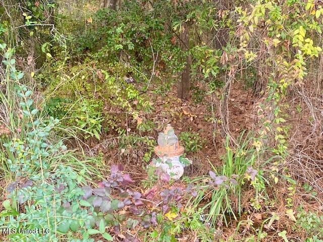 0 Llewellyn Ave Avenue Property Photo 5