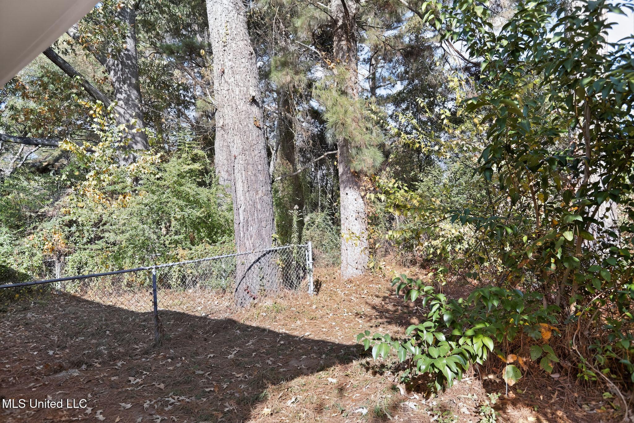 2446 Overbrook Drive Property Photo 36