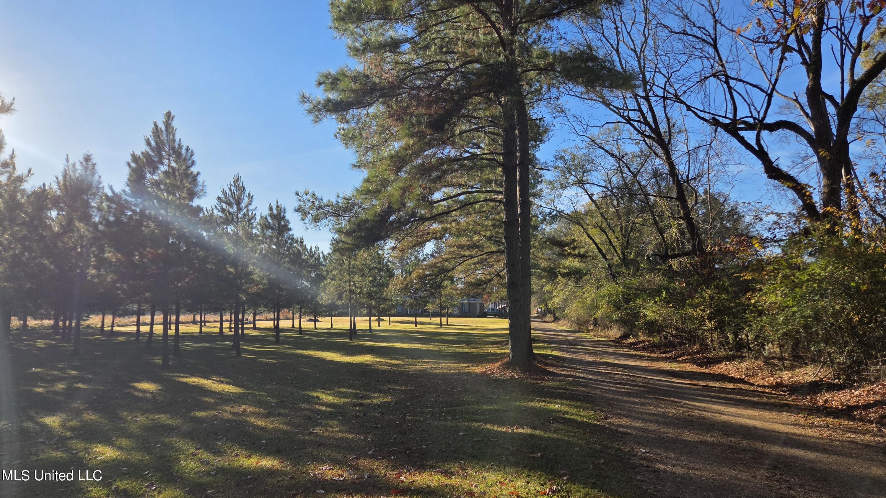 4839 Cayuga Road Property Photo 2
