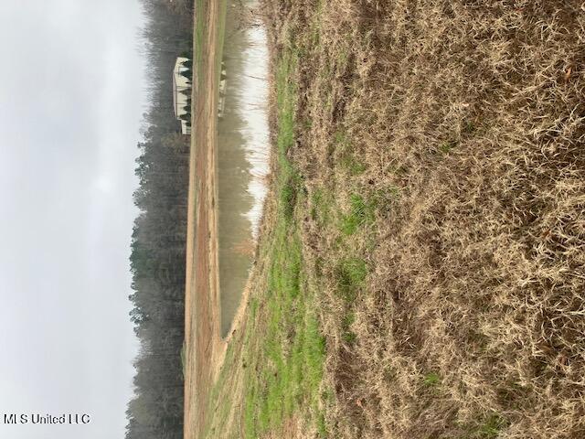 1127 Breedlove Road Property Photo 5