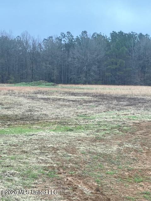 1127 Breedlove Road Property Photo 9