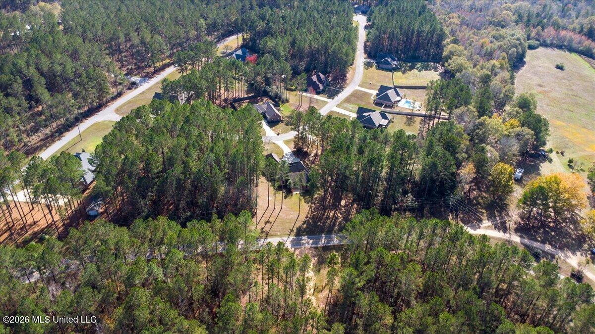 10 Magnolia Crossing Road Property Photo 33