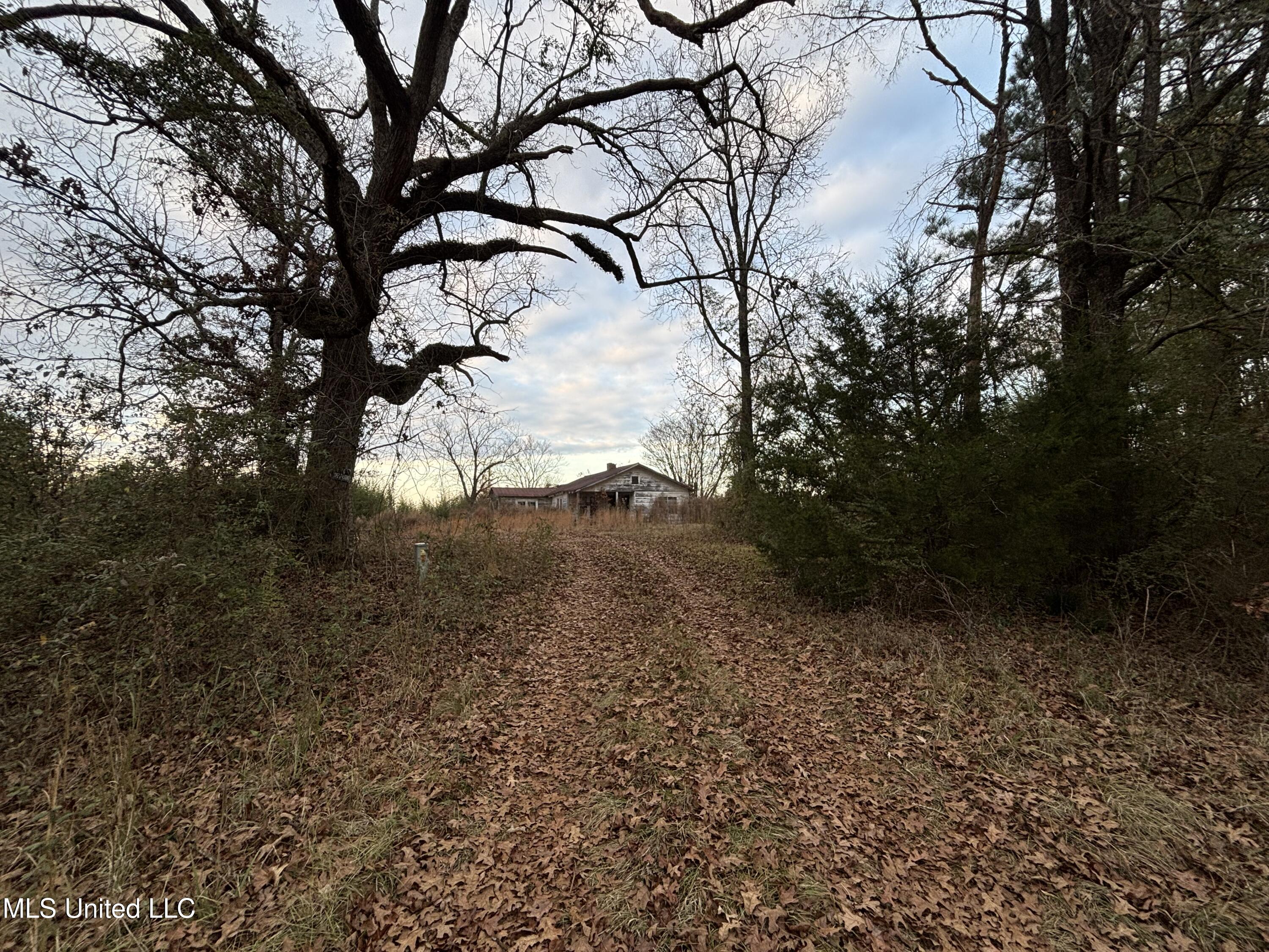 Roger Reid Road Property Photo 2