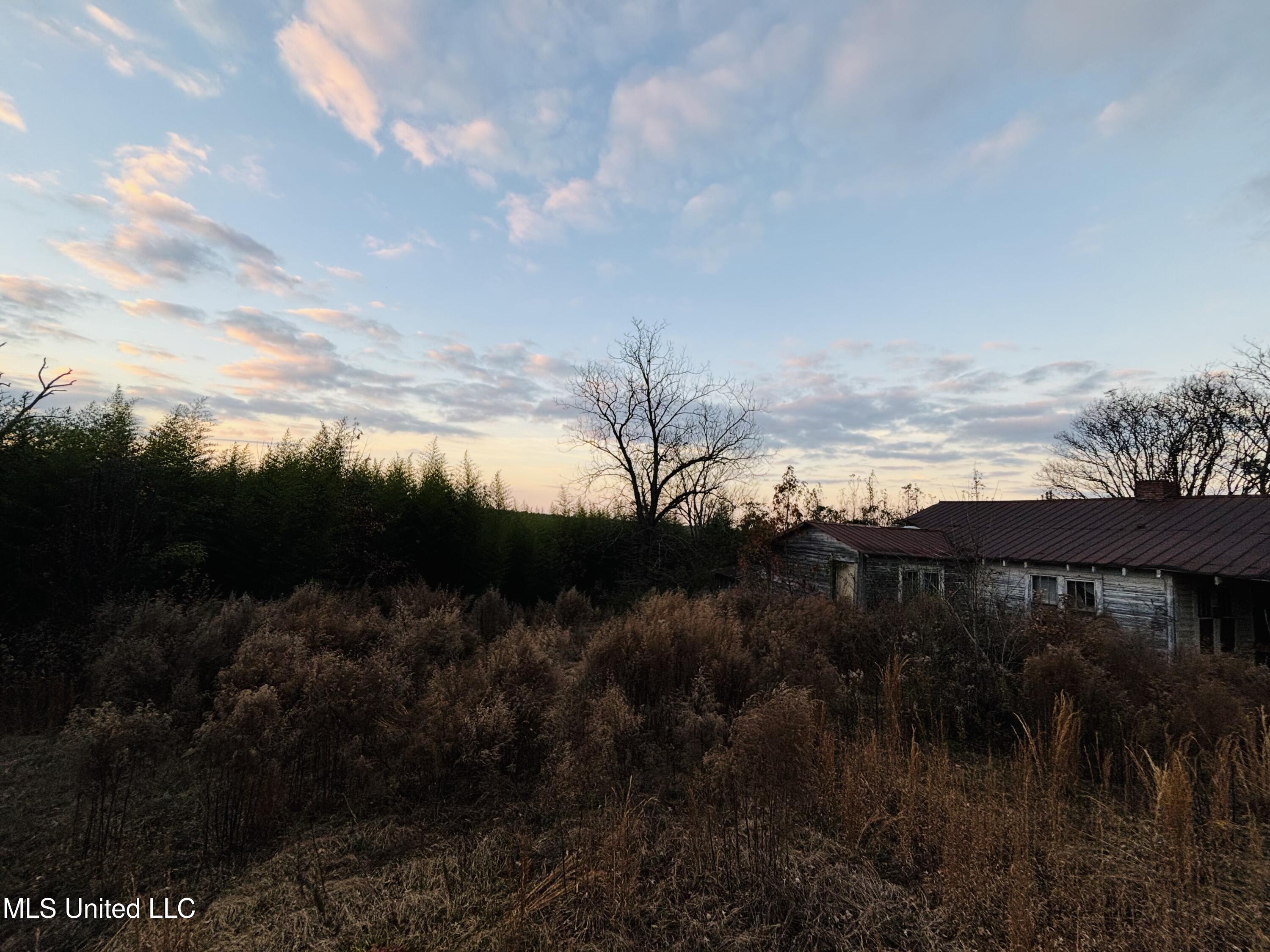 Roger Reid Road Property Photo 3
