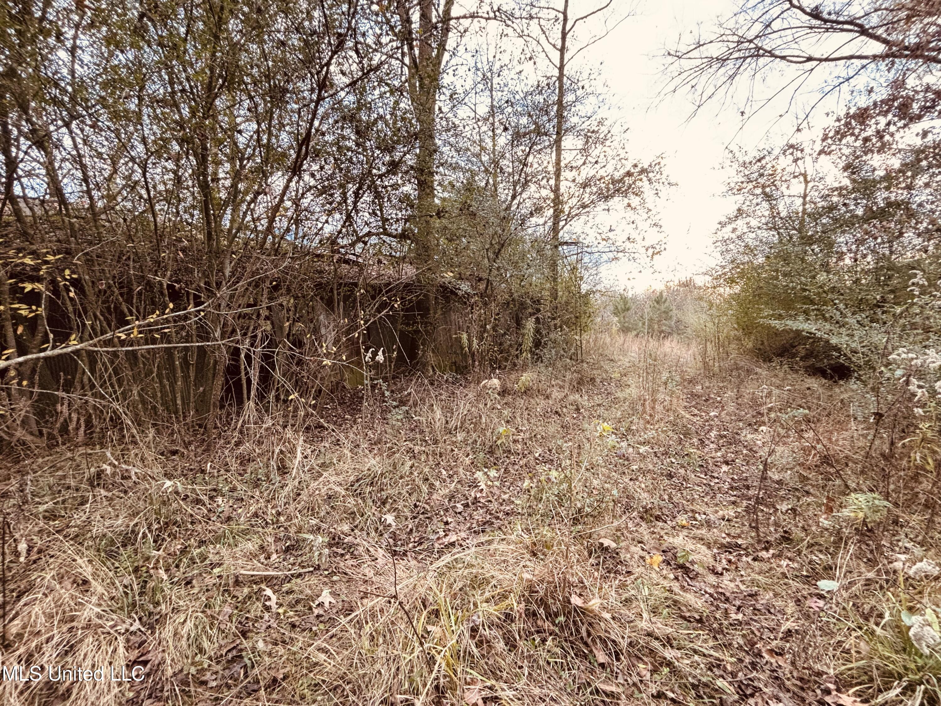 Roger Reid Road Property Photo 4