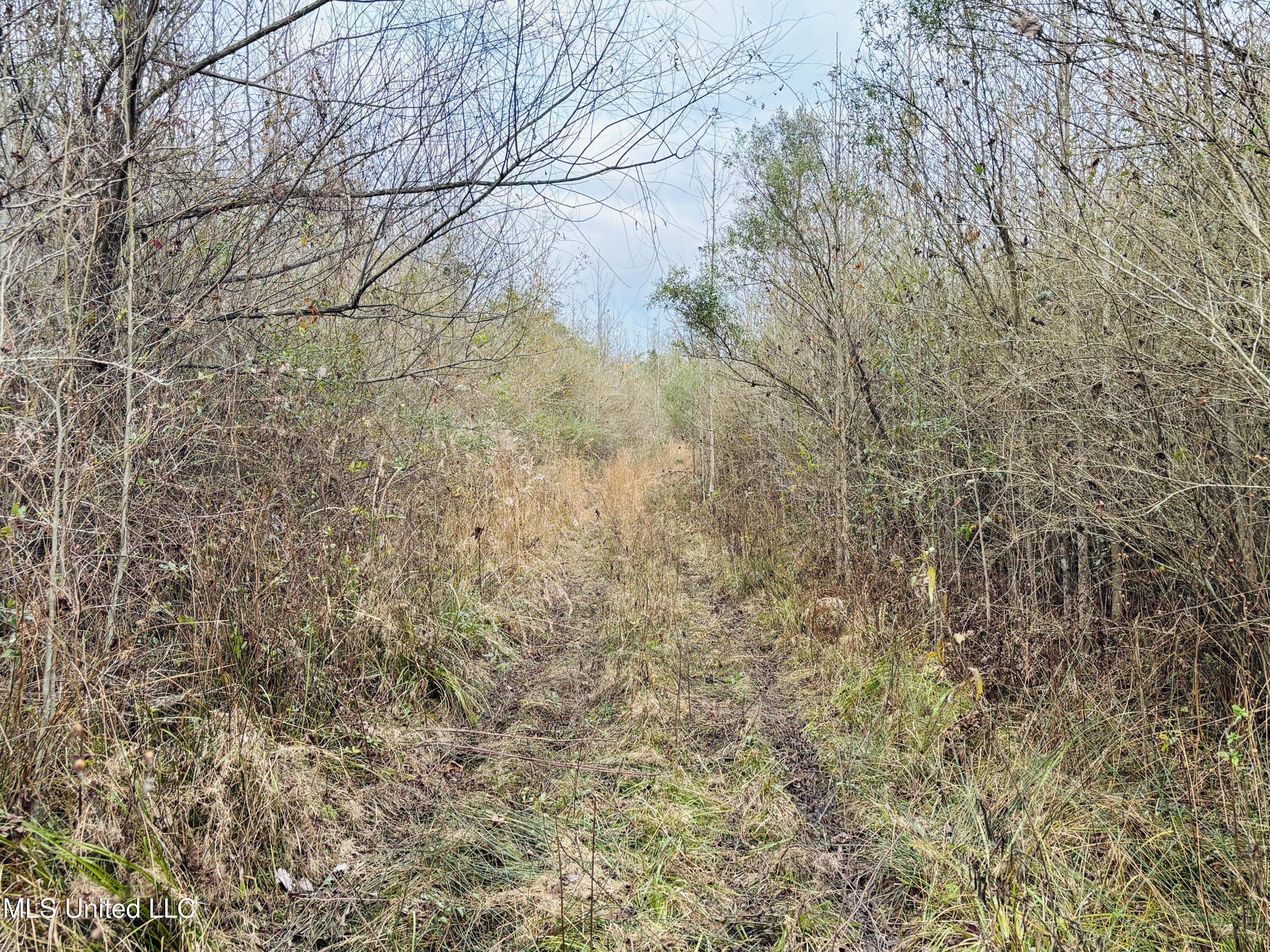 Roger Reid Road Property Photo 5