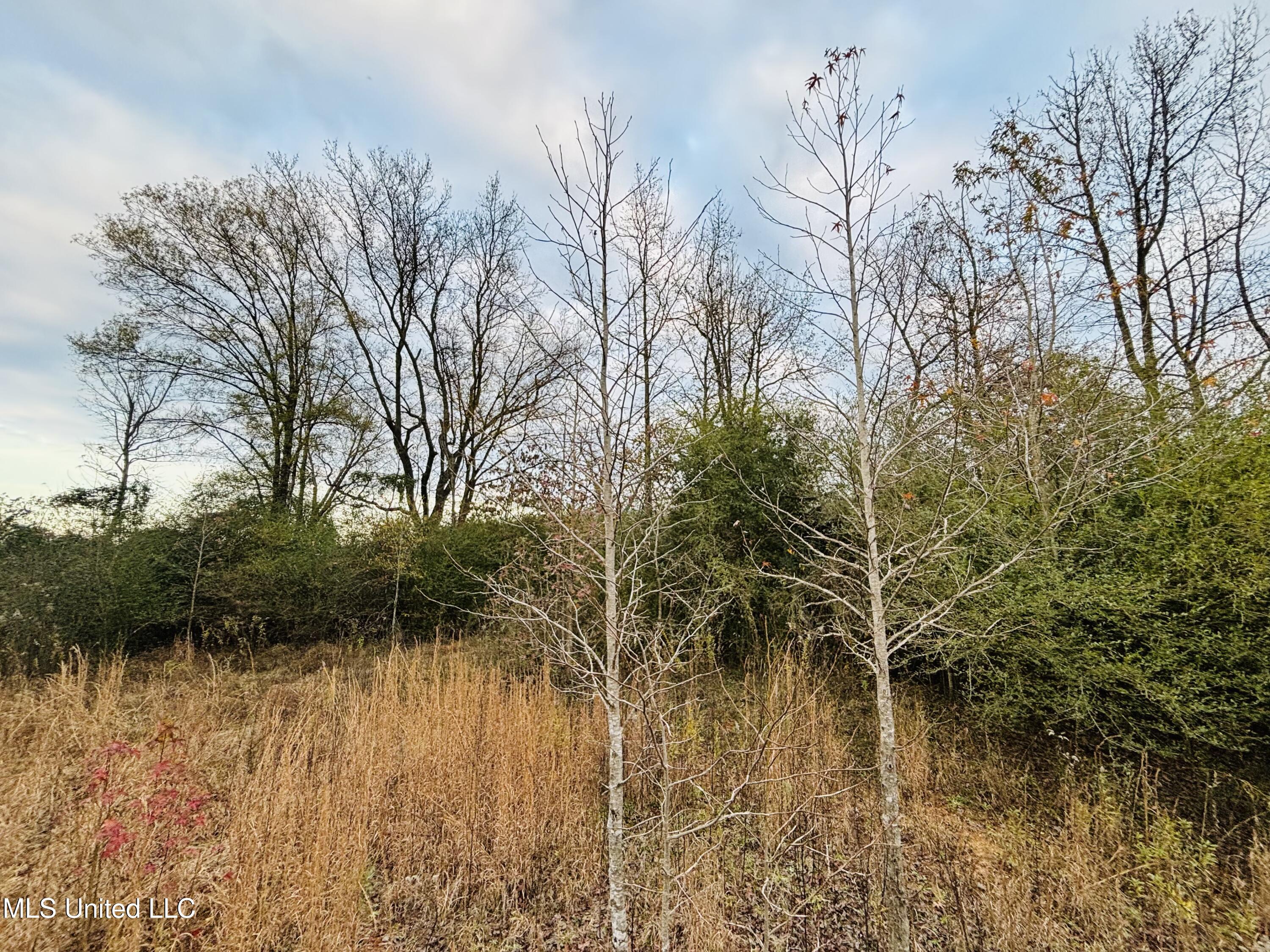 Roger Reid Road Property Photo 9
