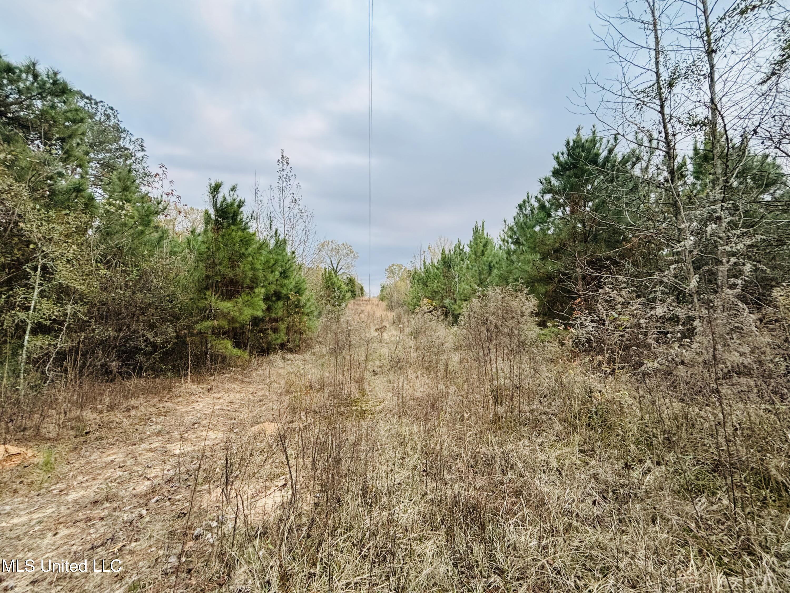 Roger Reid Road Property Photo 10