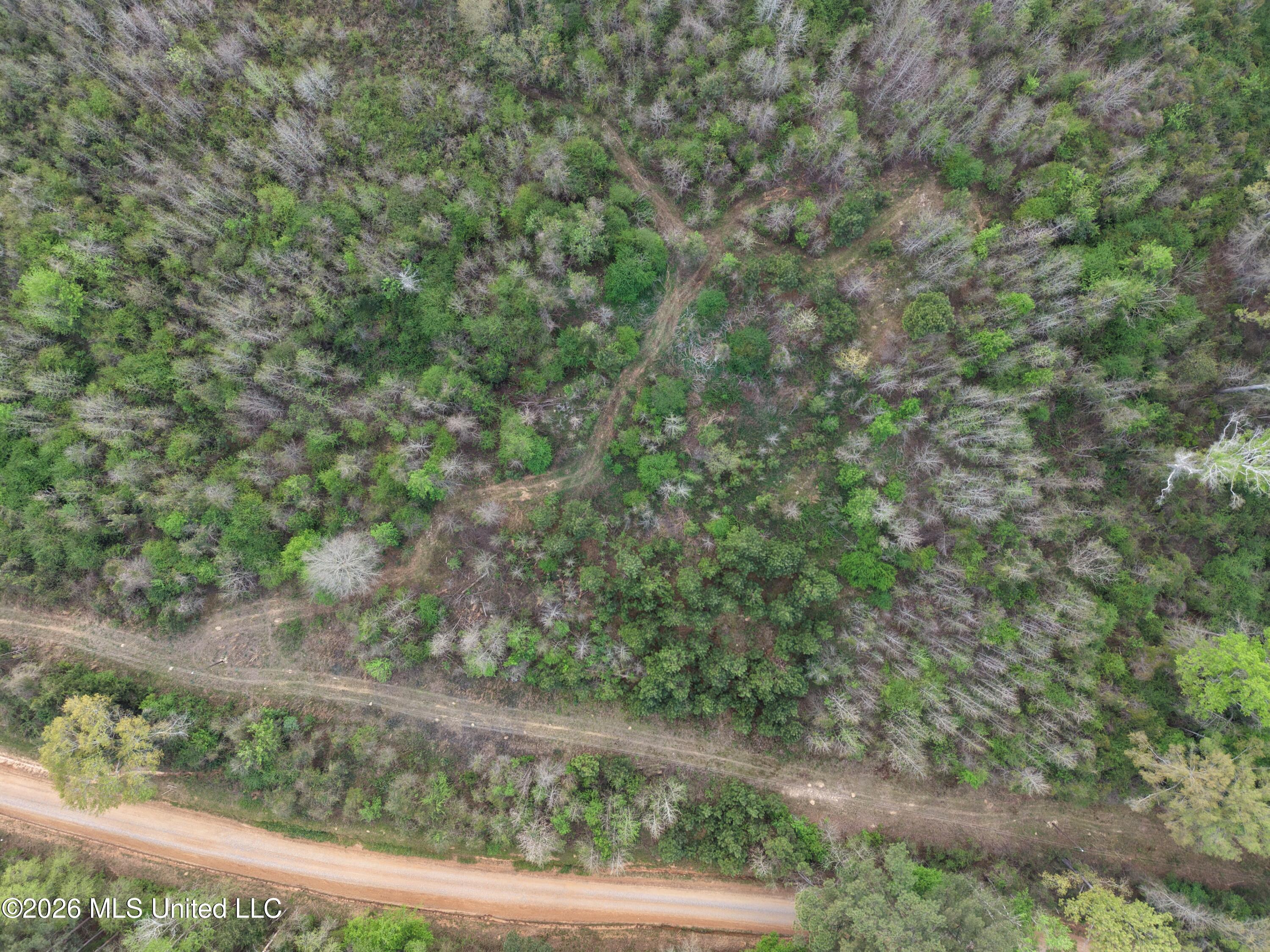 Roger Reid Road Property Photo 12