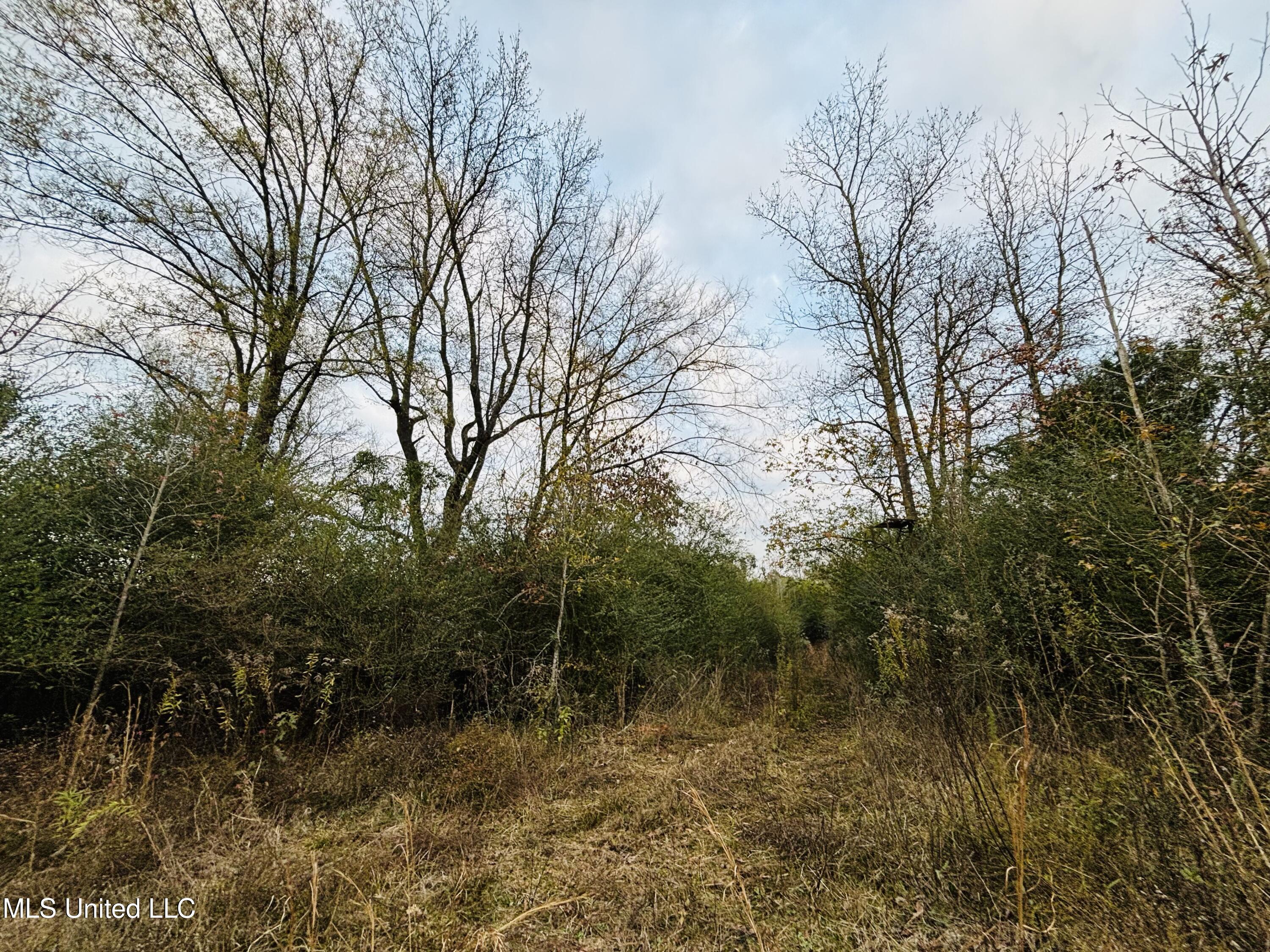 Roger Reid Road Property Photo 13