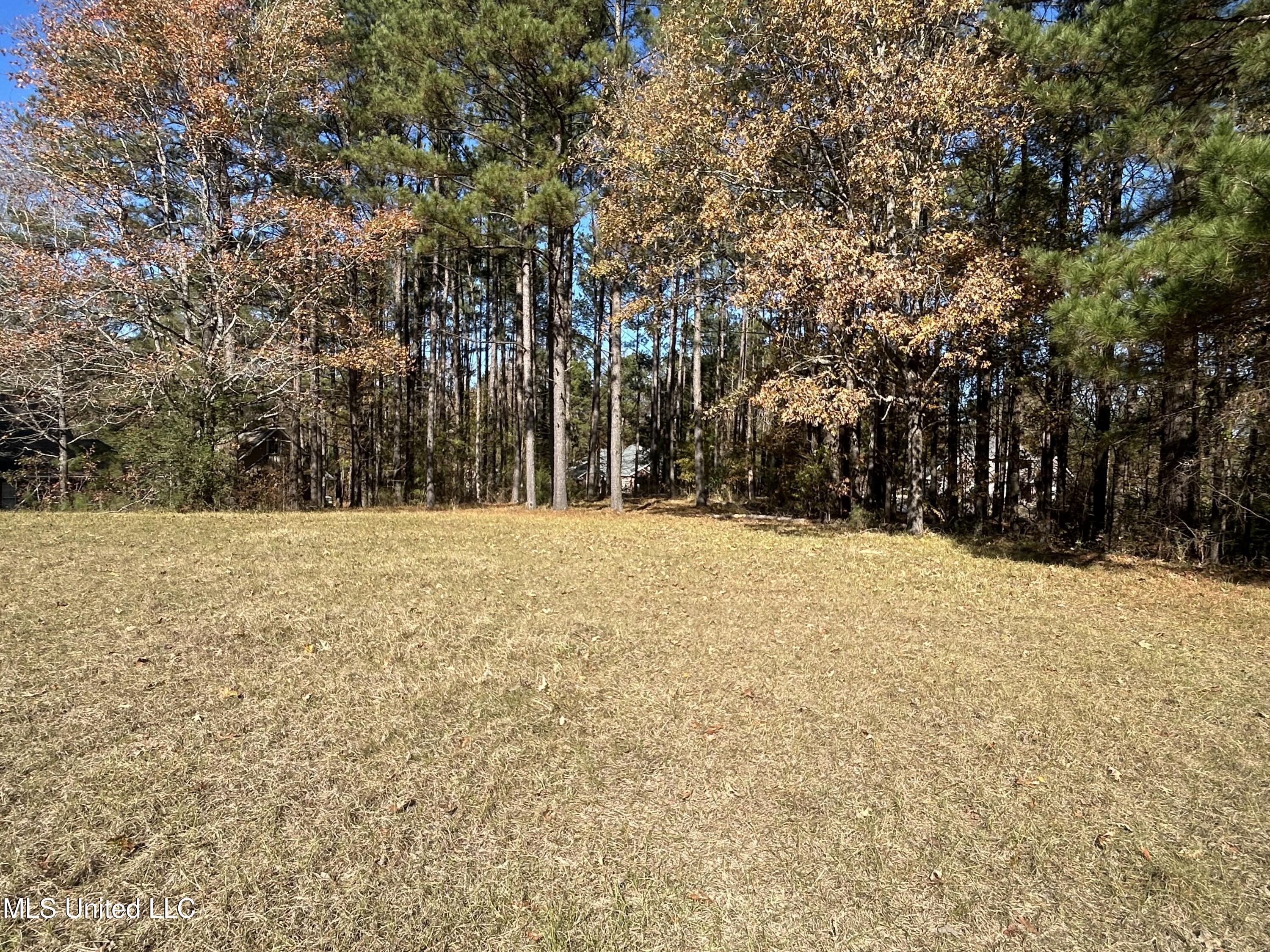 0 Yorktown Property Photo 5