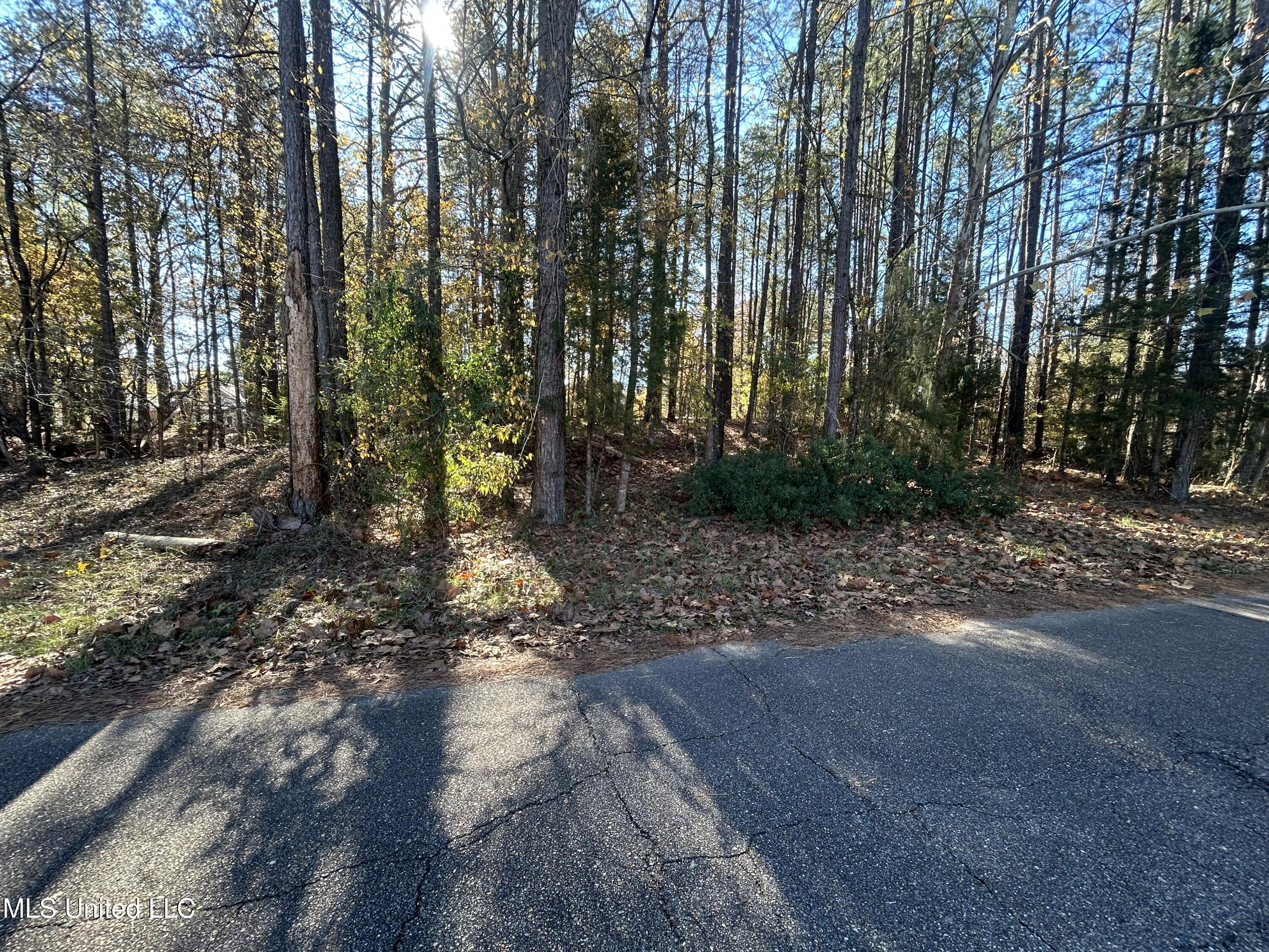 0 Yorktown Property Photo 10