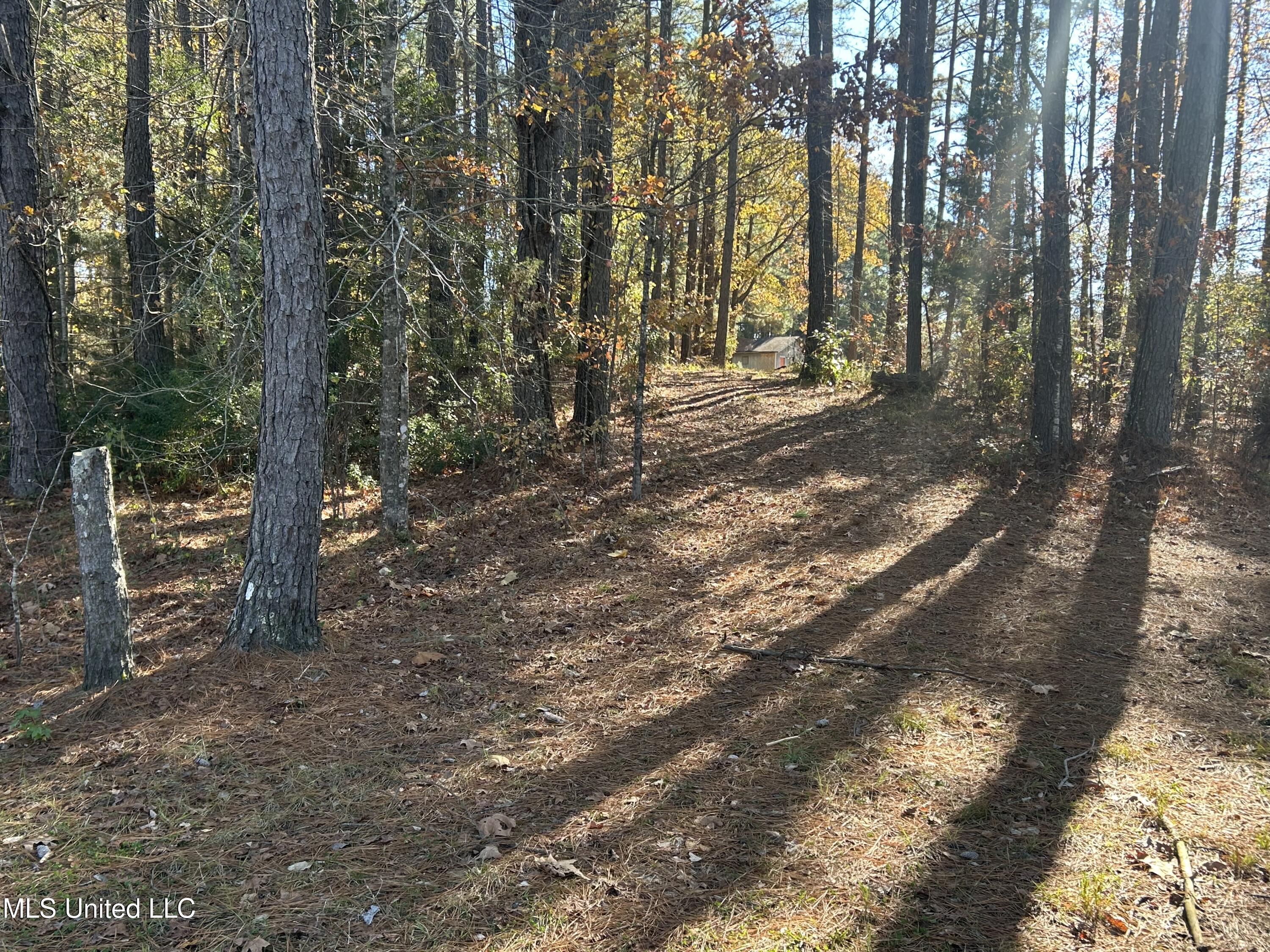 0 Yorktown Property Photo 12