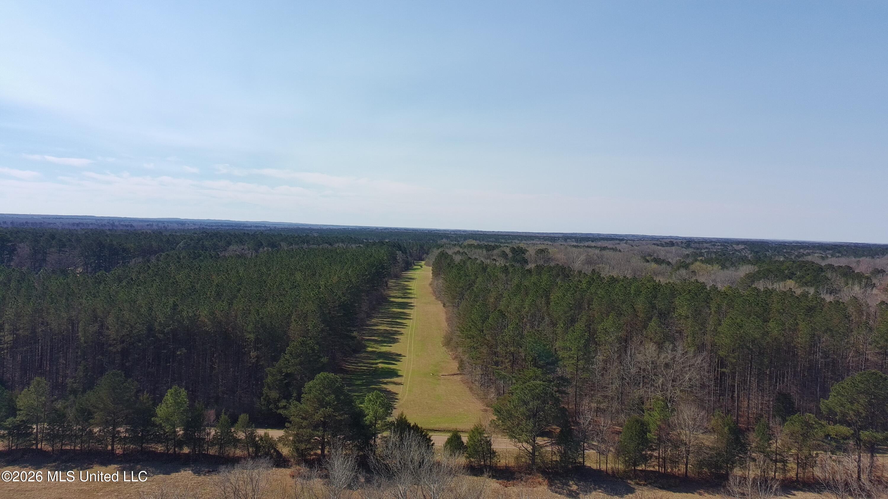 Ratliff Ferry Road Property Photo 8