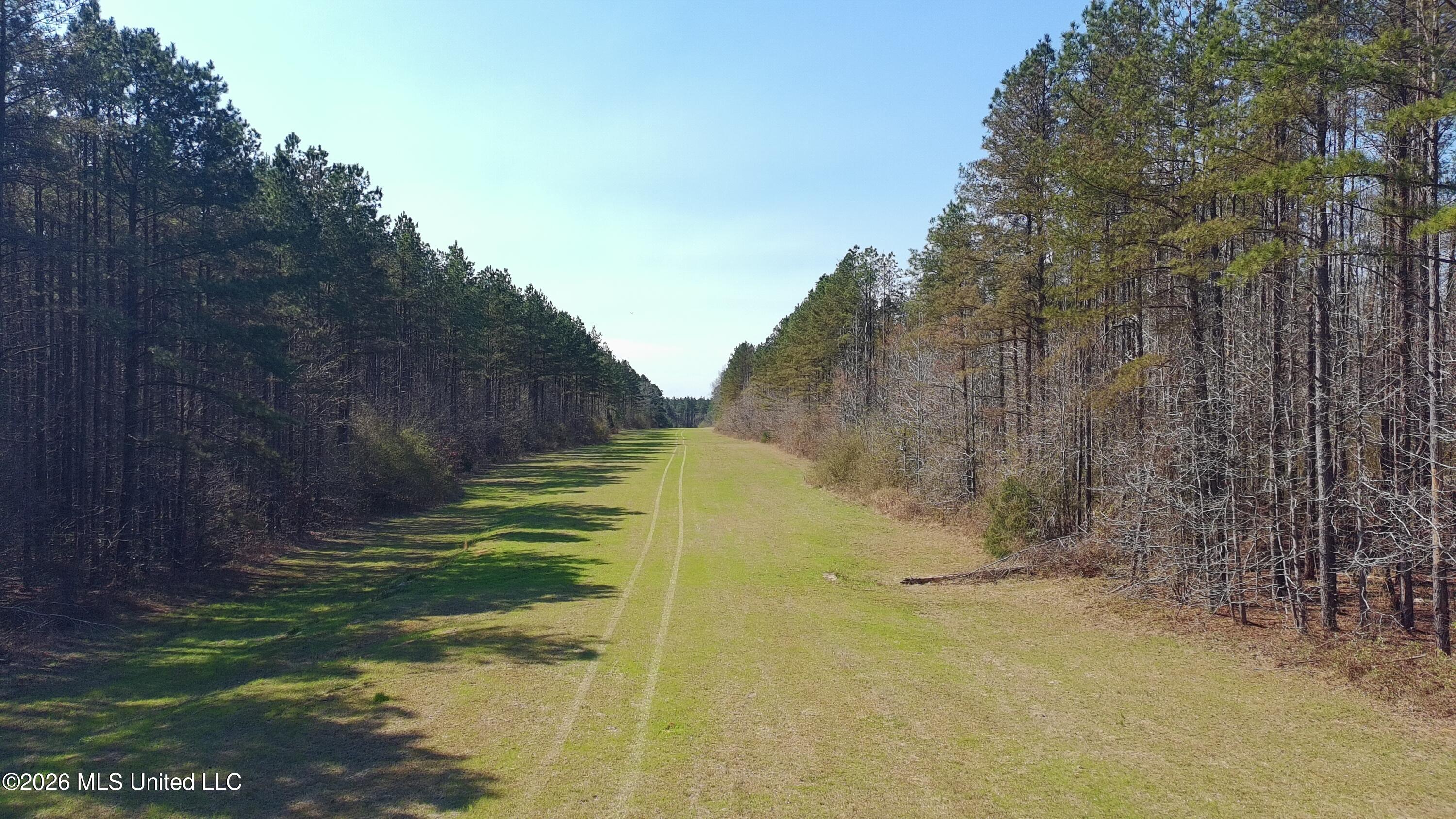 Ratliff Ferry Road Property Photo 10
