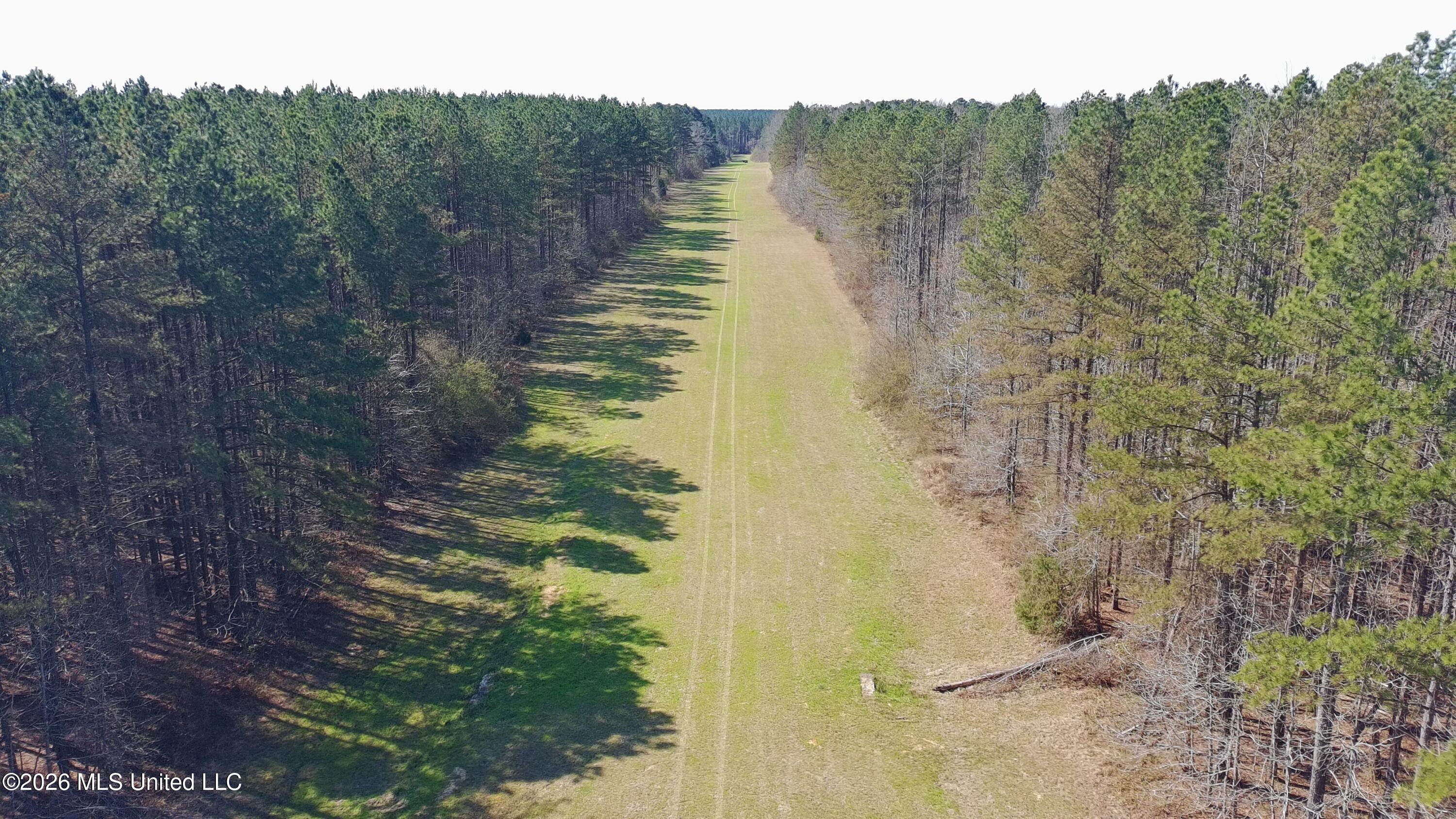 Ratliff Ferry Road Property Photo 11