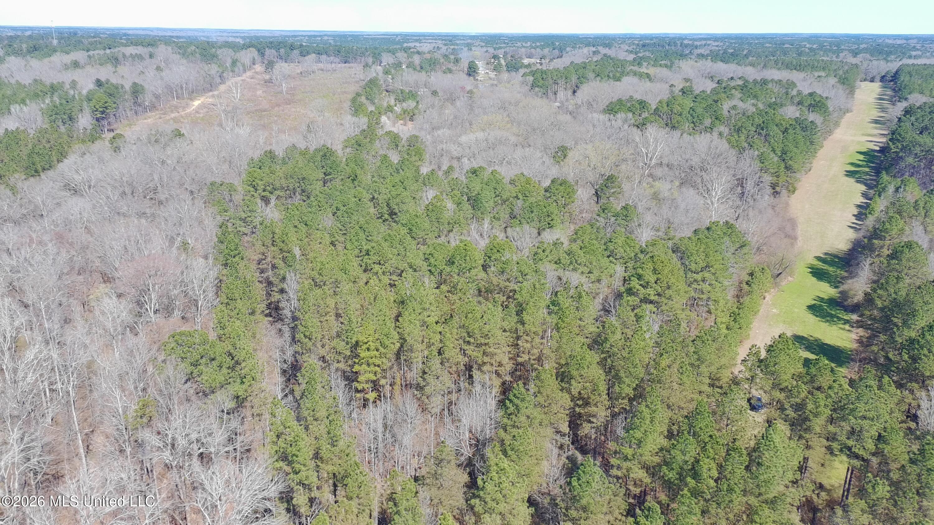 Ratliff Ferry Road Property Photo 3