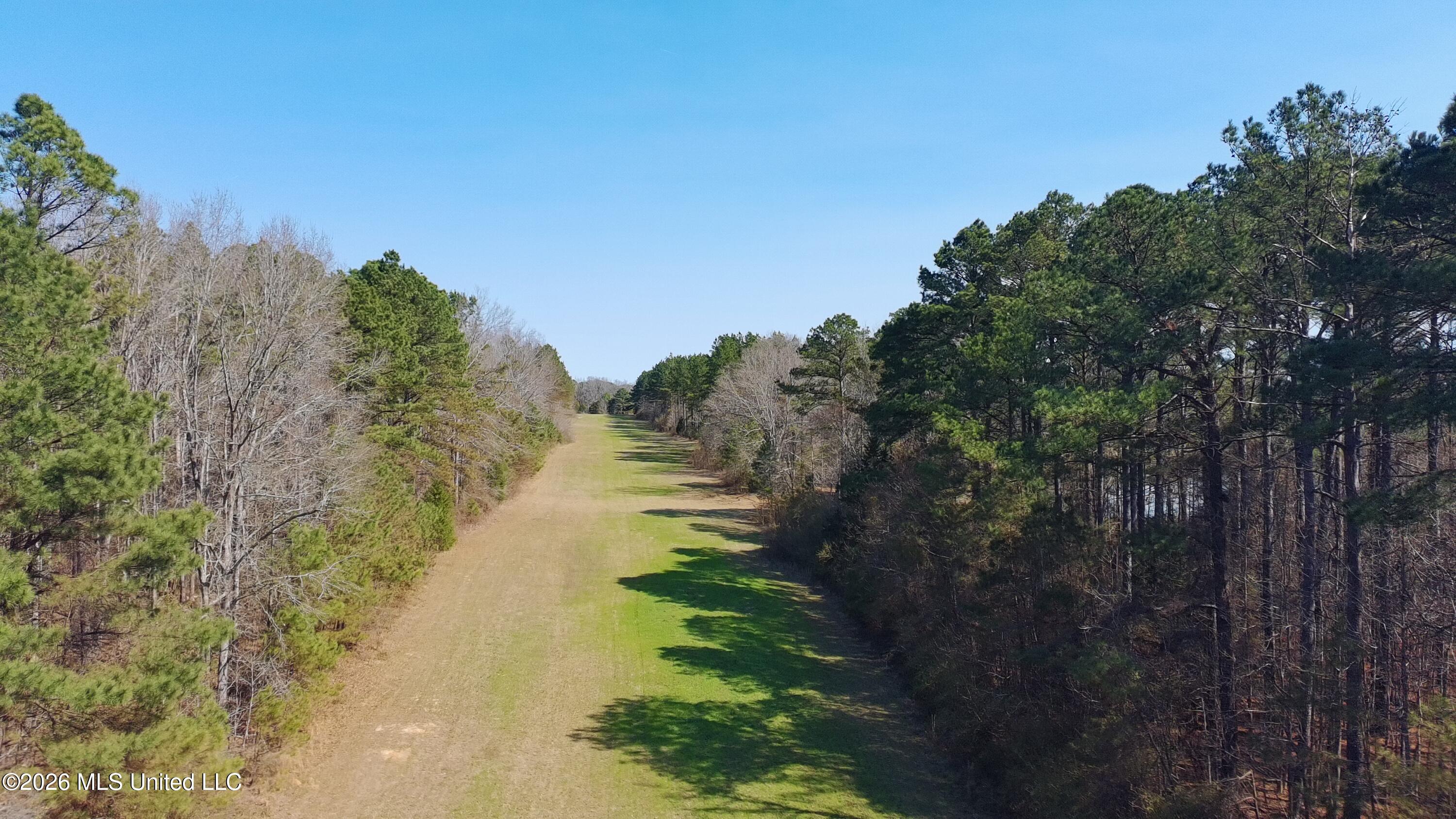 Ratliff Ferry Road Property Photo 4