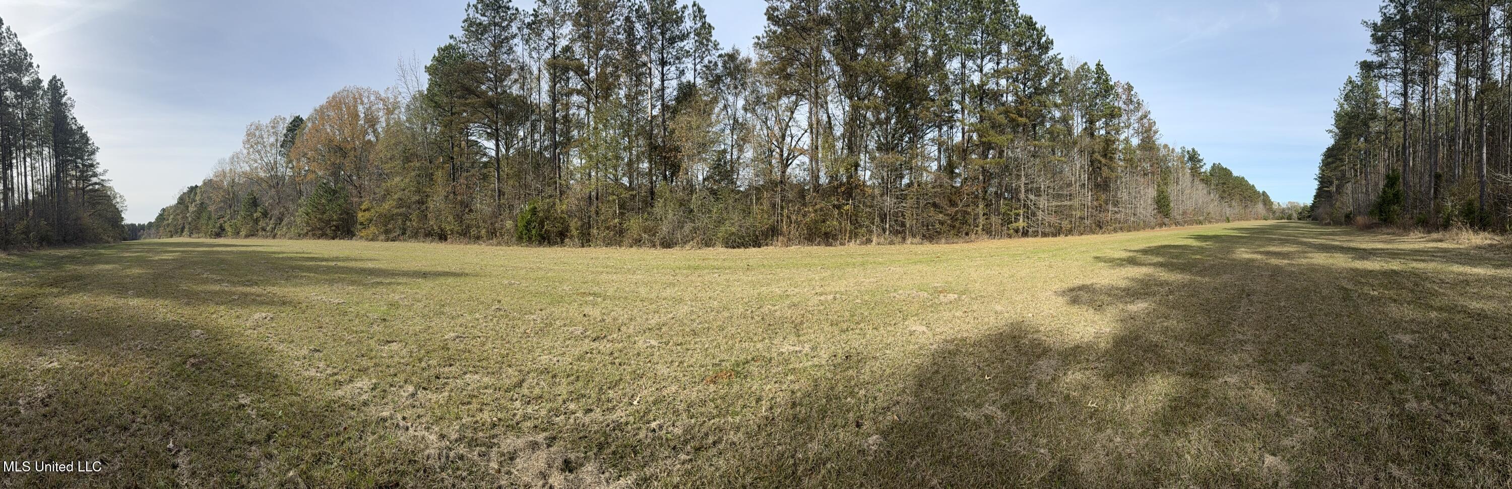 Ratliff Ferry Road Property Photo 9